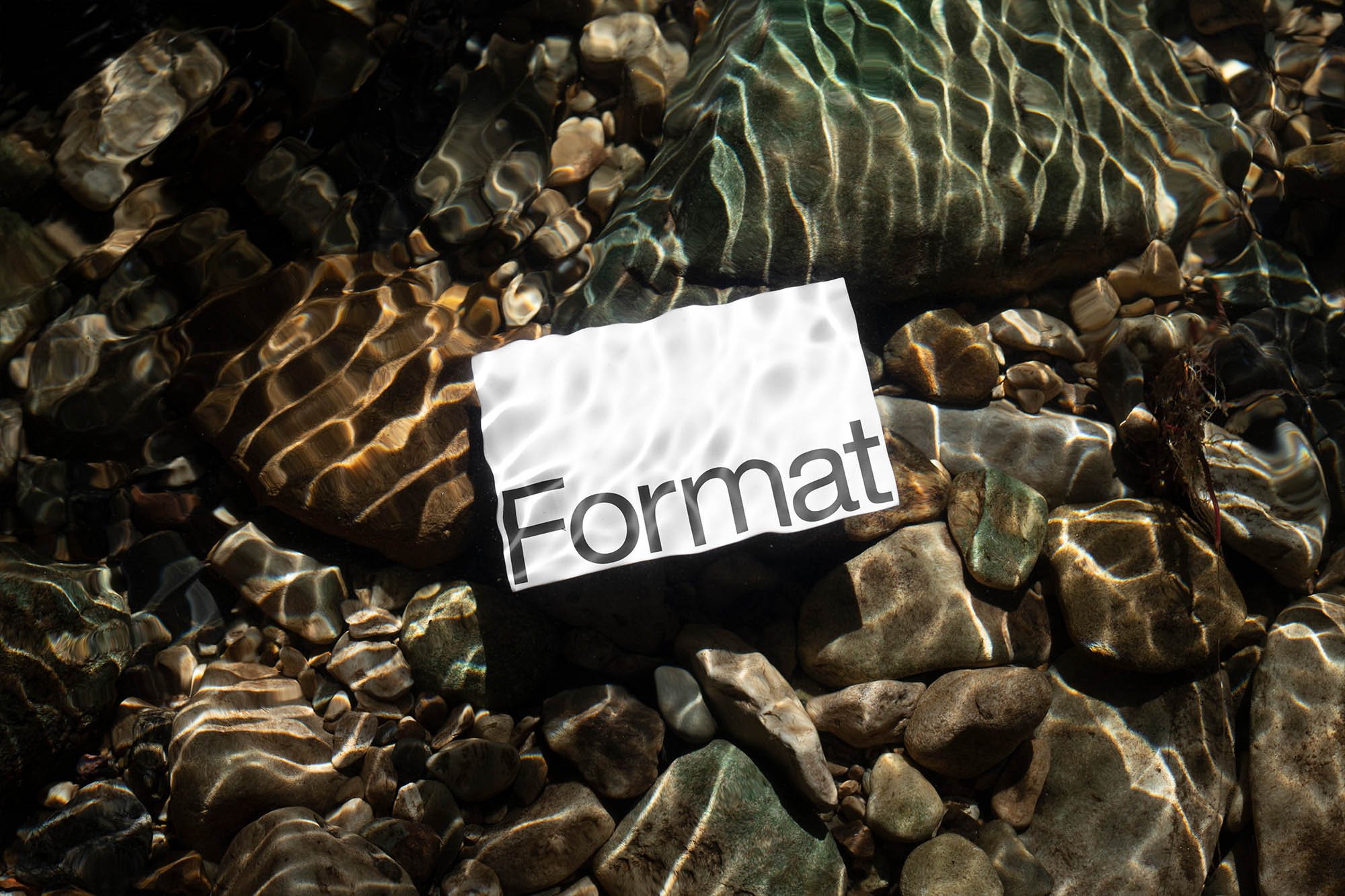 Artboard 1 copy 6.jpg