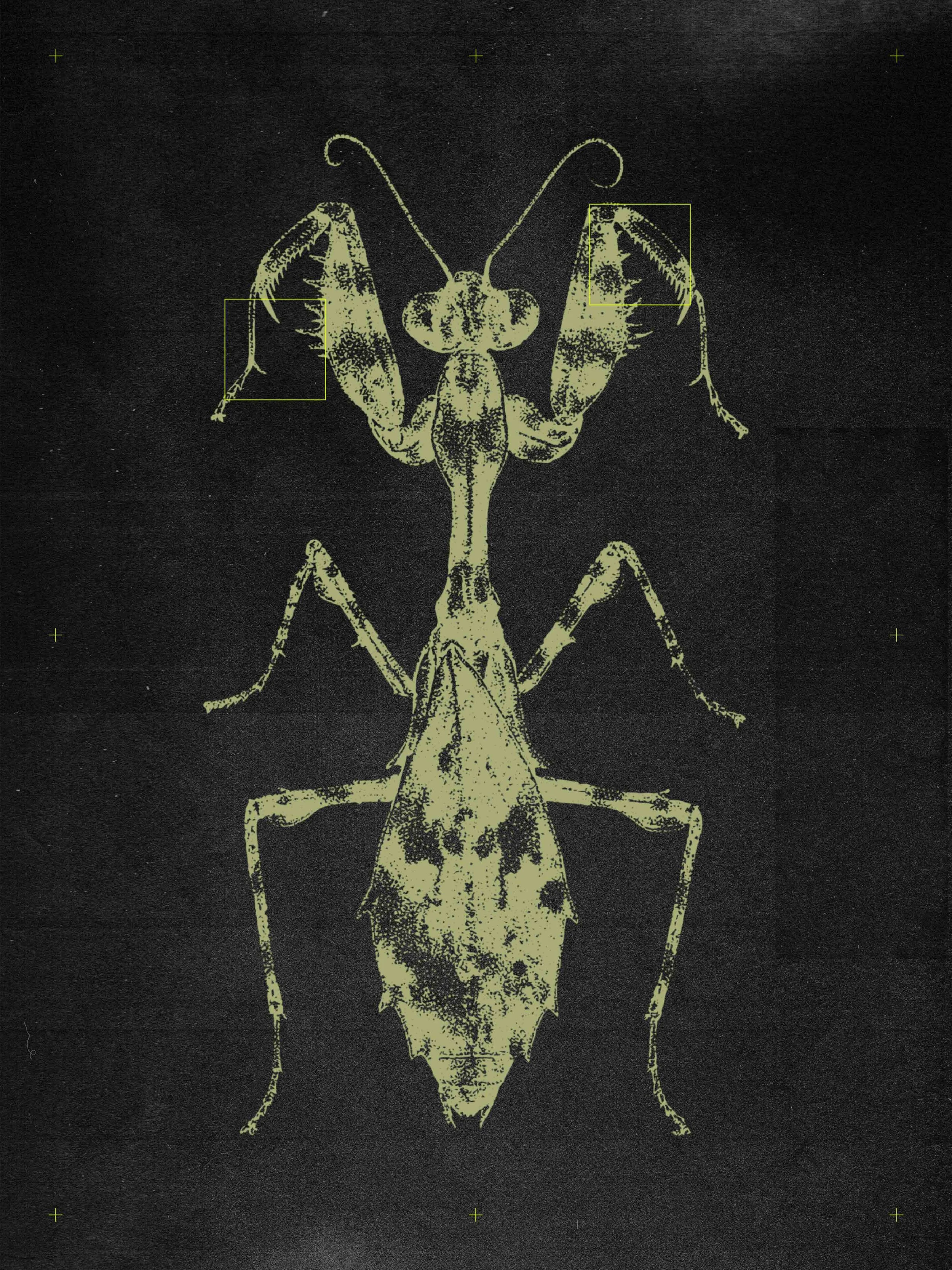 SPECIMENS 5.jpg