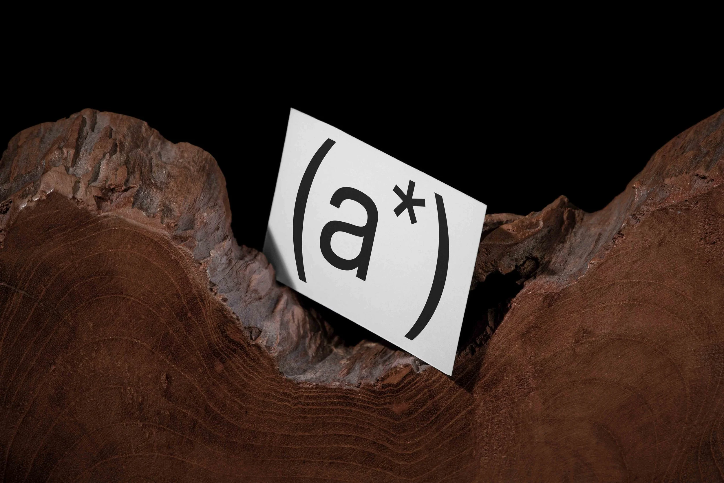 ARKIVAL_85x55_BUSINESSCARD_01_1.jpg