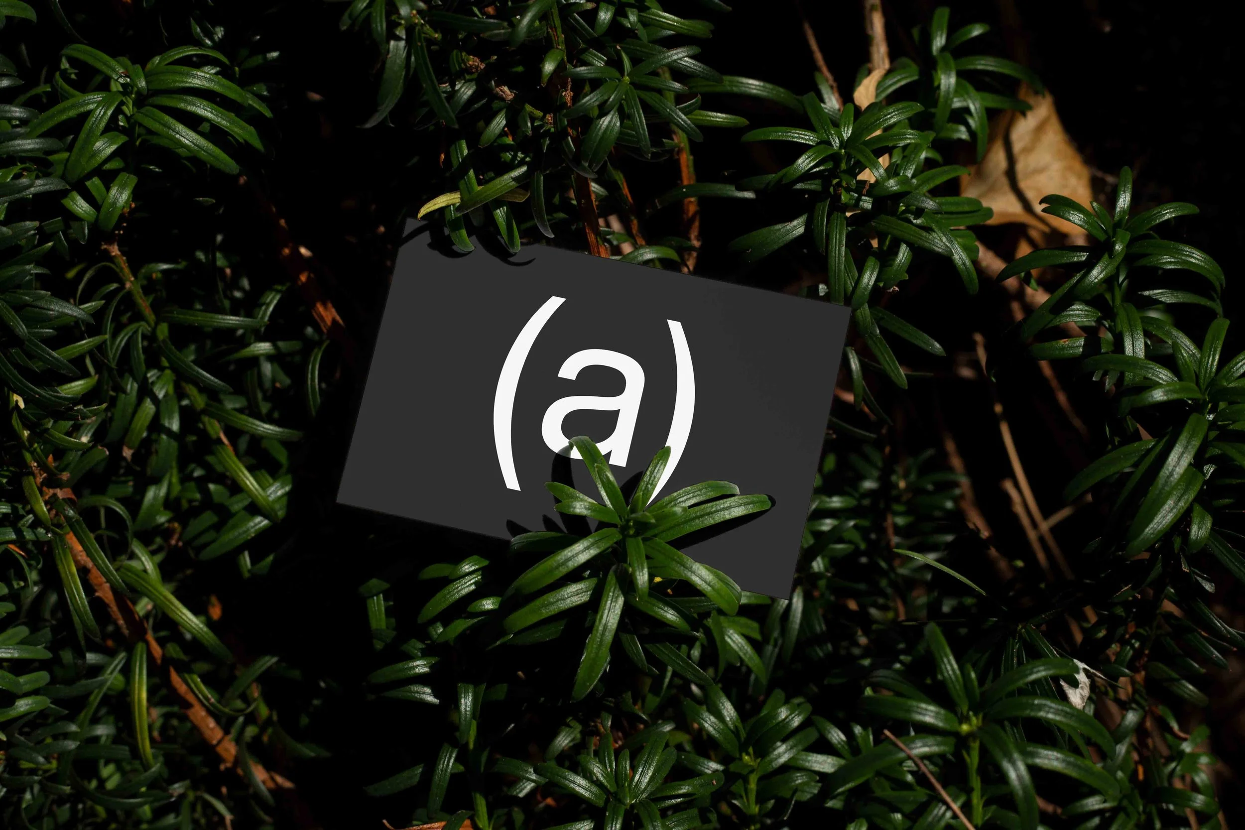 ARKIVAL_85x55_BUSINESSCARD_04_1.jpg