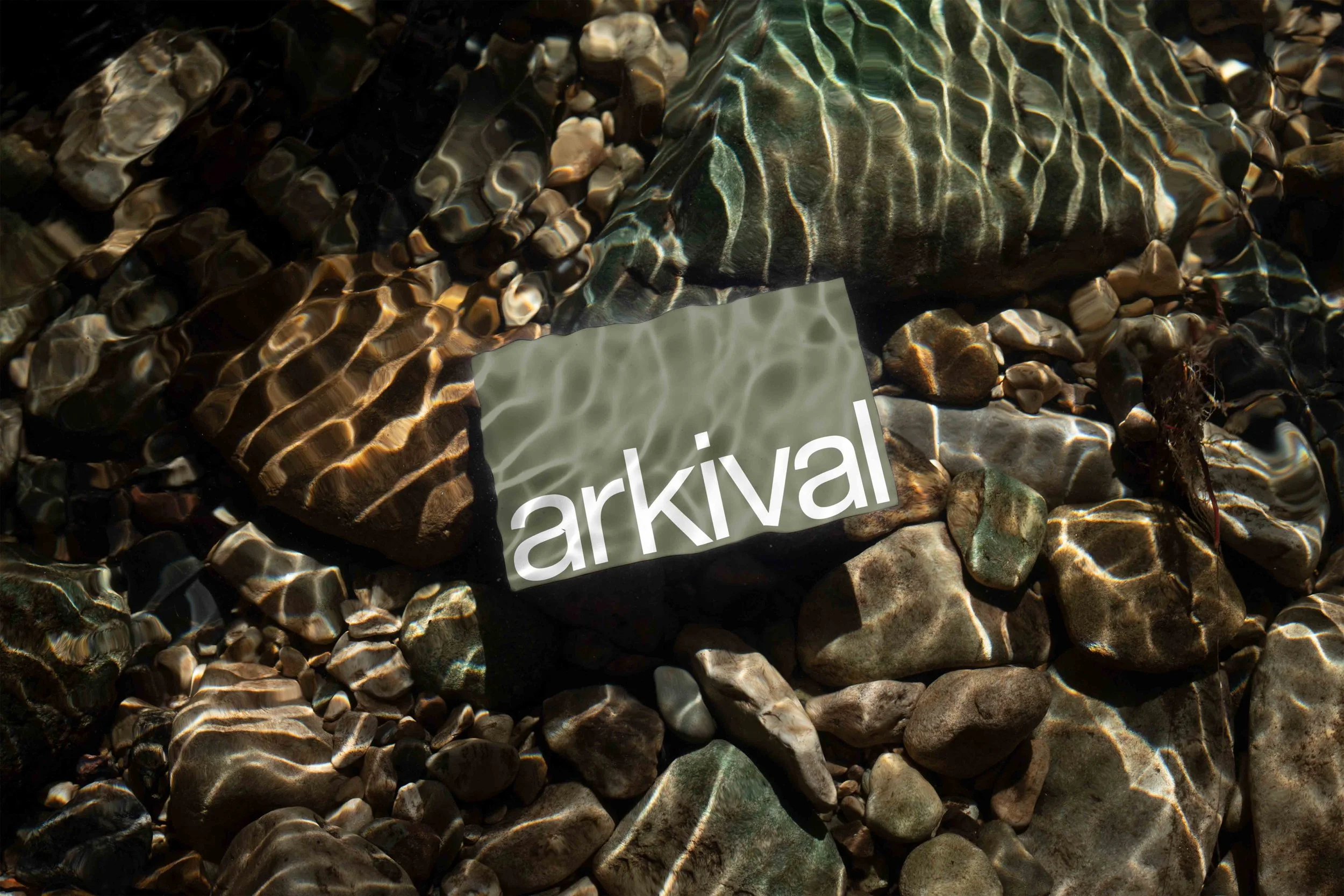 ARKIVAL_85x55_BUSINESSCARD_07_1.jpg