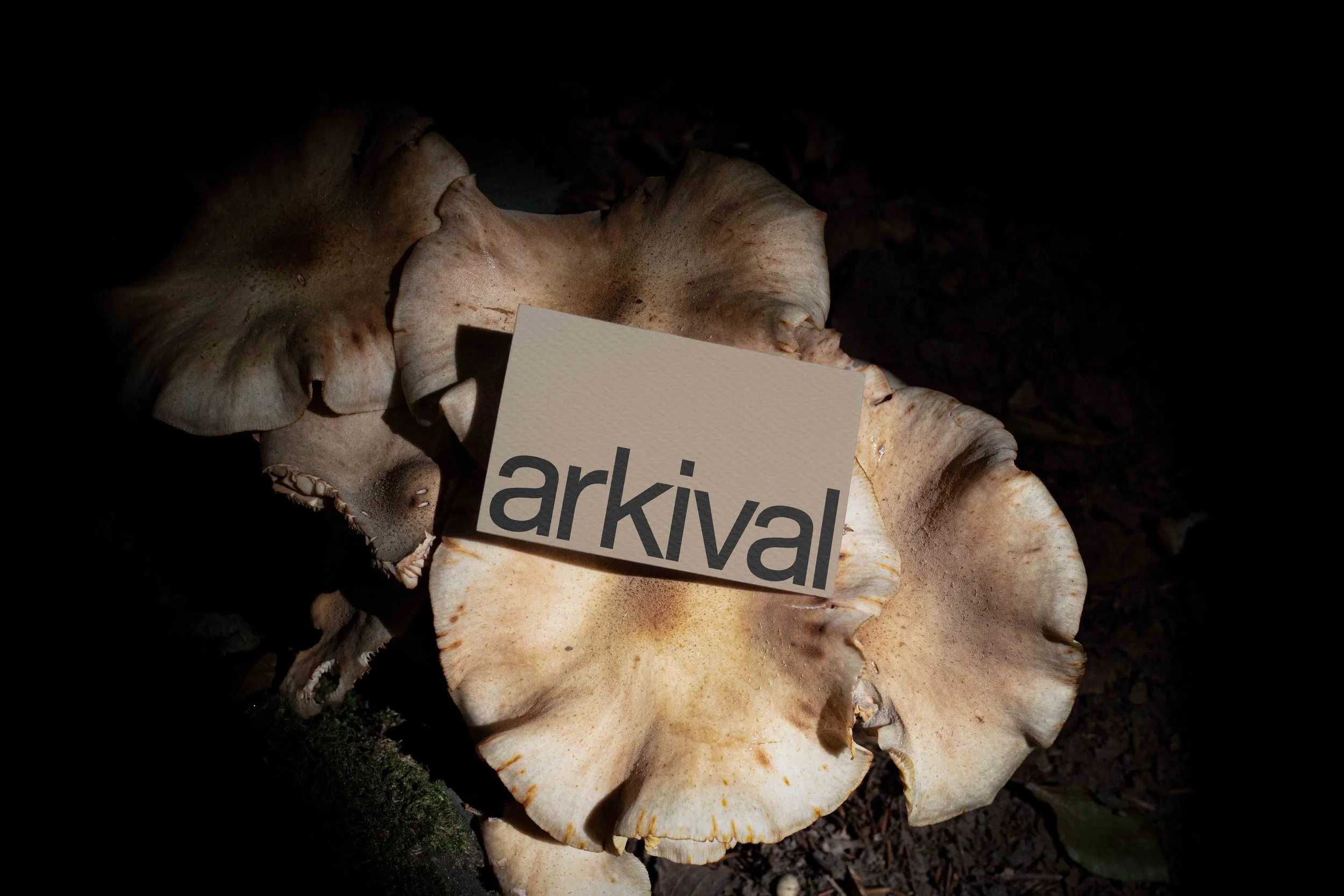 ARKIVAL_85x55_BUSINESSCARD_10.jpg