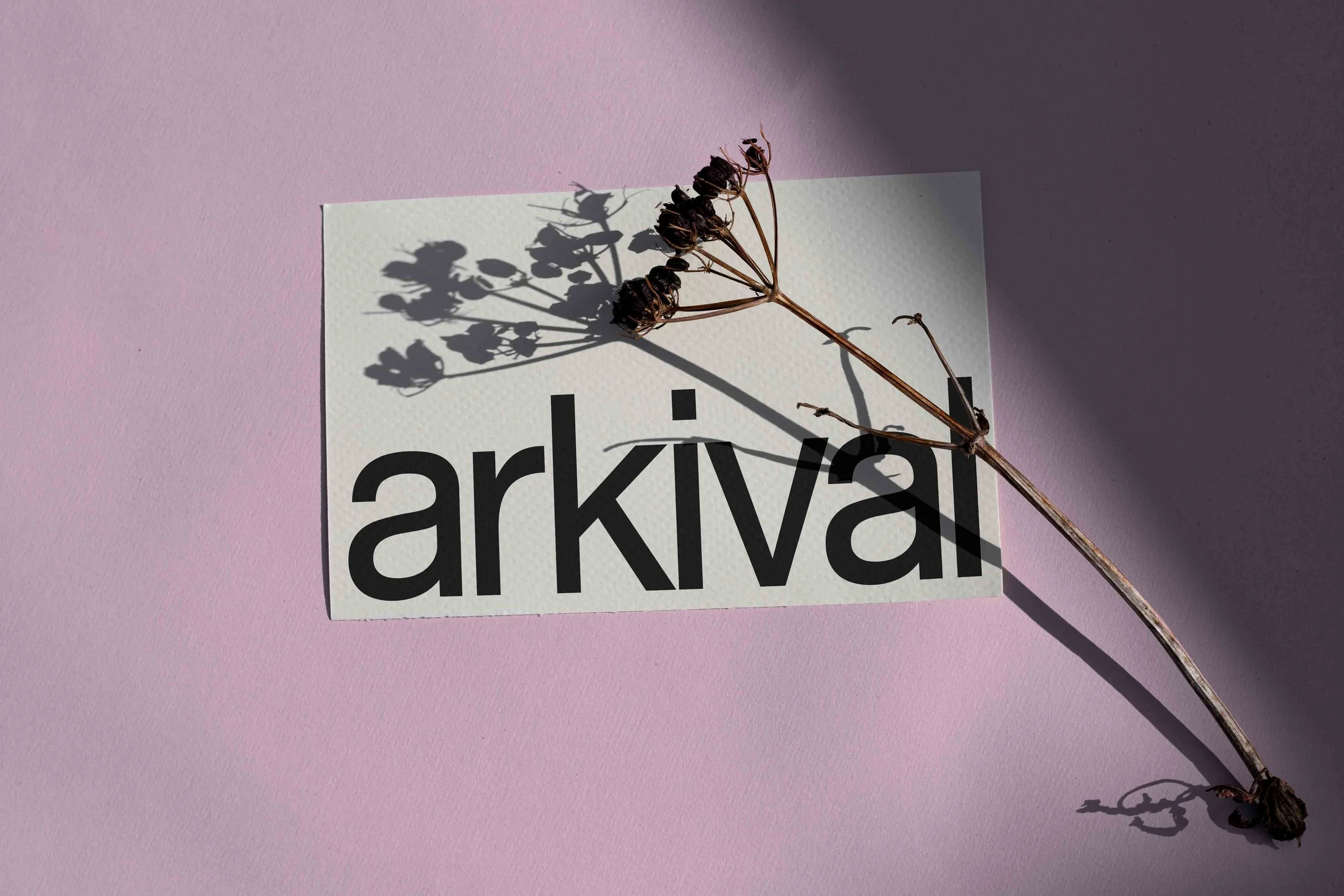 ARKIVAL_CARD_03_1.jpg