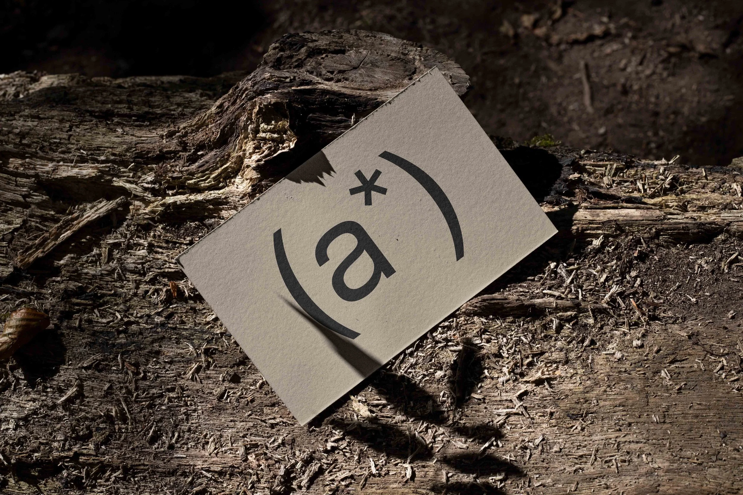 ARKIVAL_CARD_07.jpg