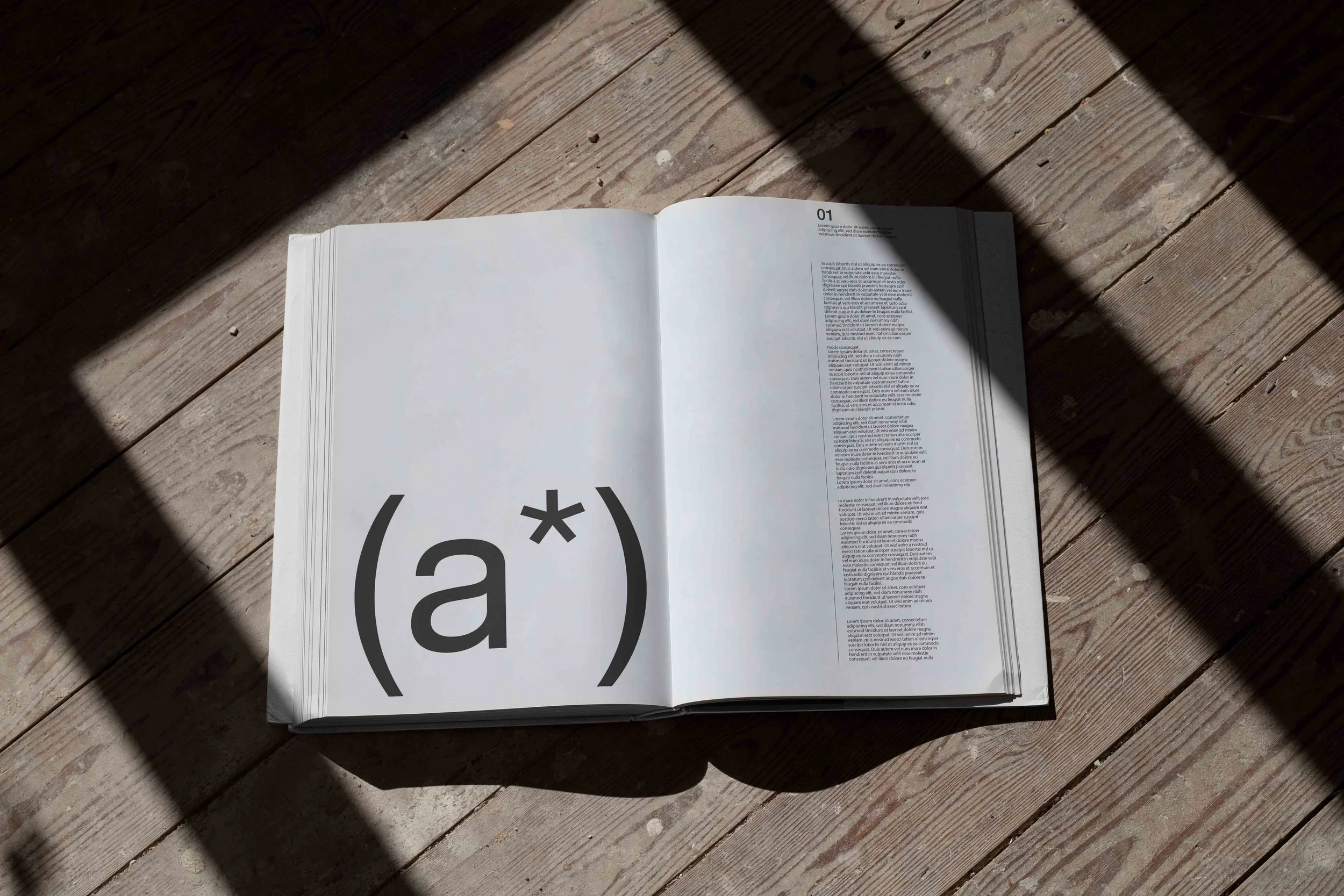 ARKIVAL_RECTANGLE_BOOK_V2_02.jpg