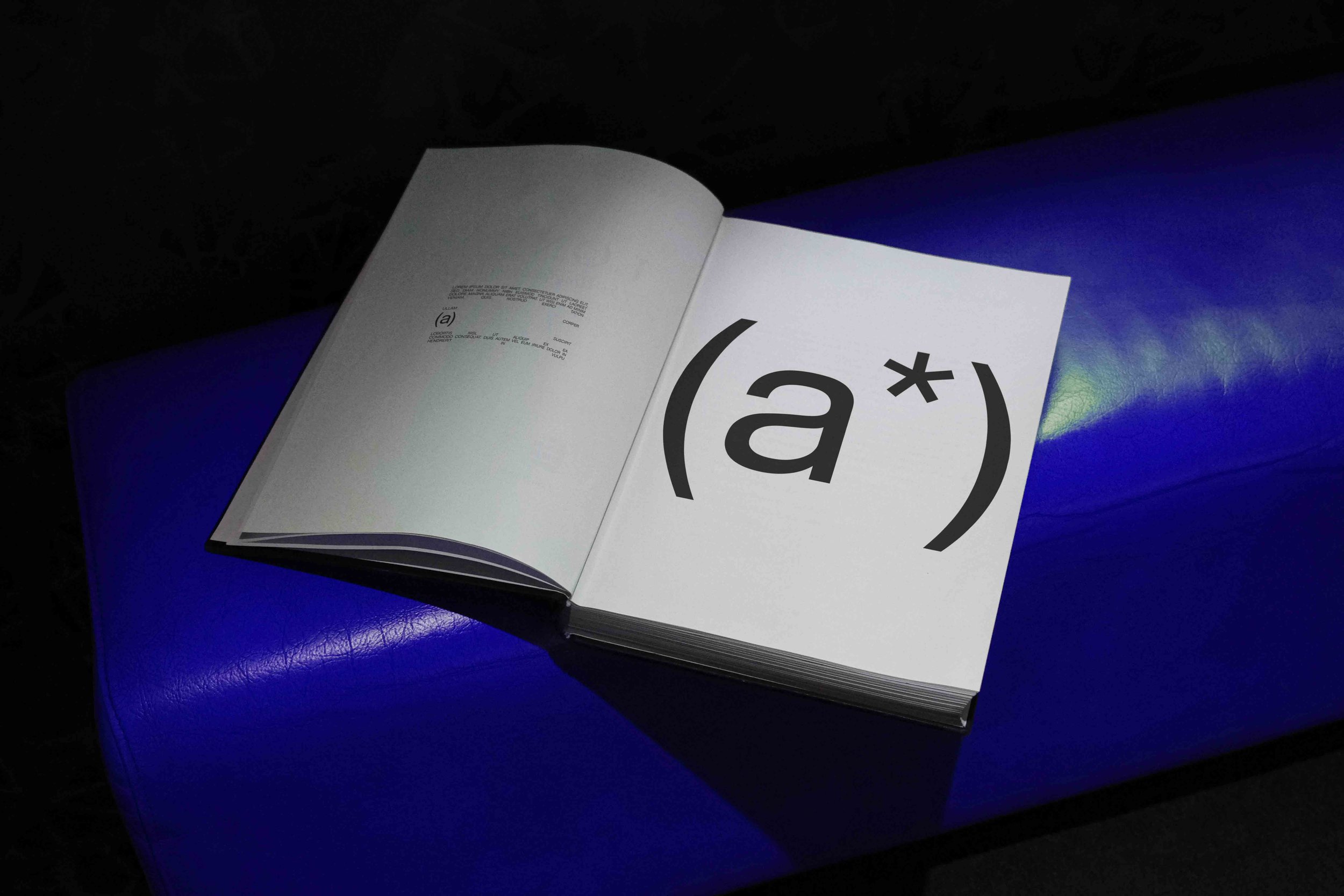 ARKIVAL_B2_BOOK_02_1.jpg