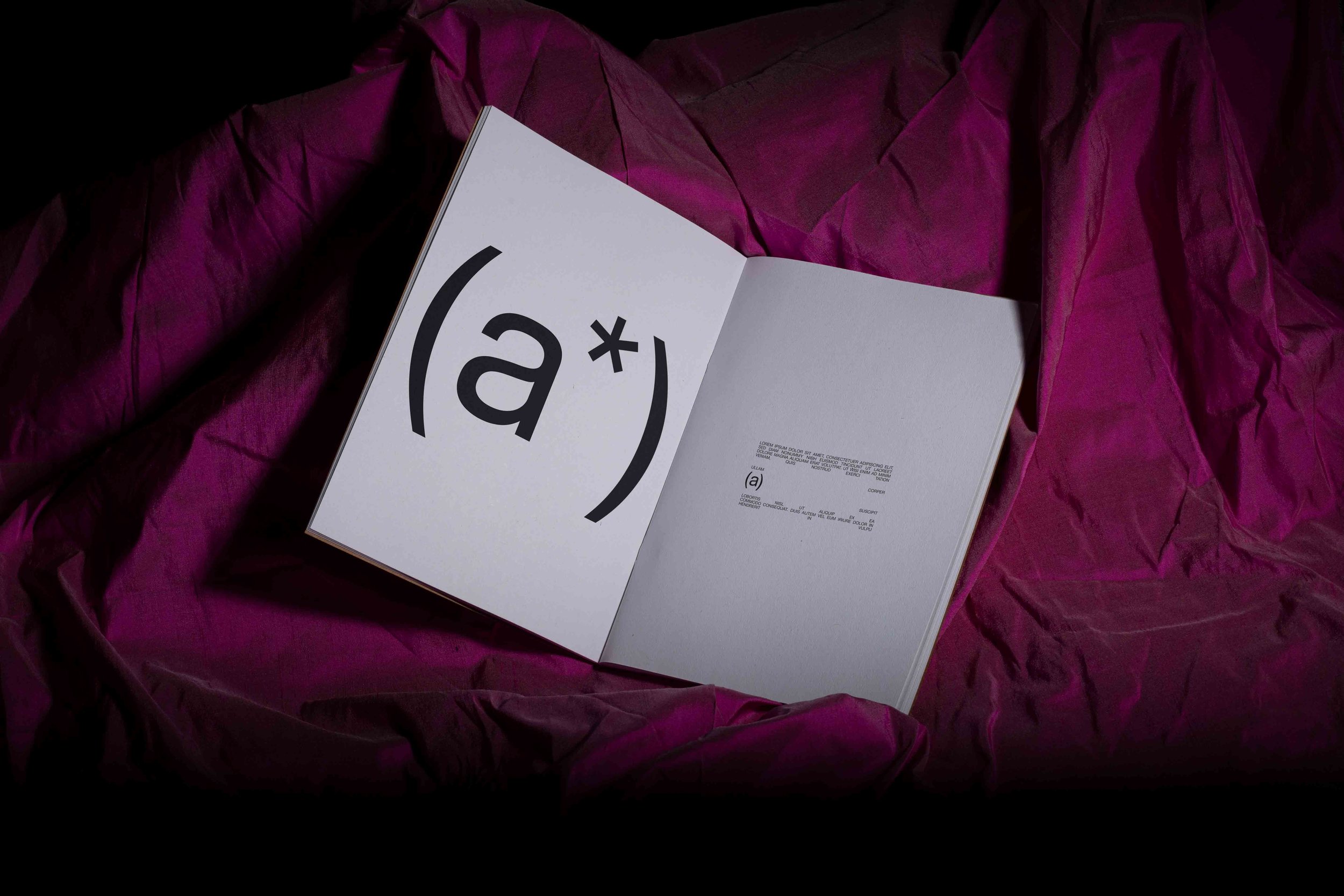 ARKIVAL_B2_BOOK_04_1.jpg