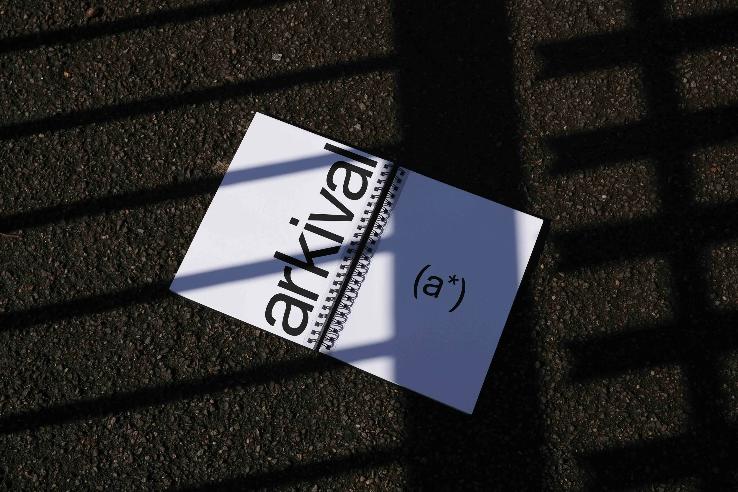 ARKIVAL_B2_BOOK_08_1.jpg