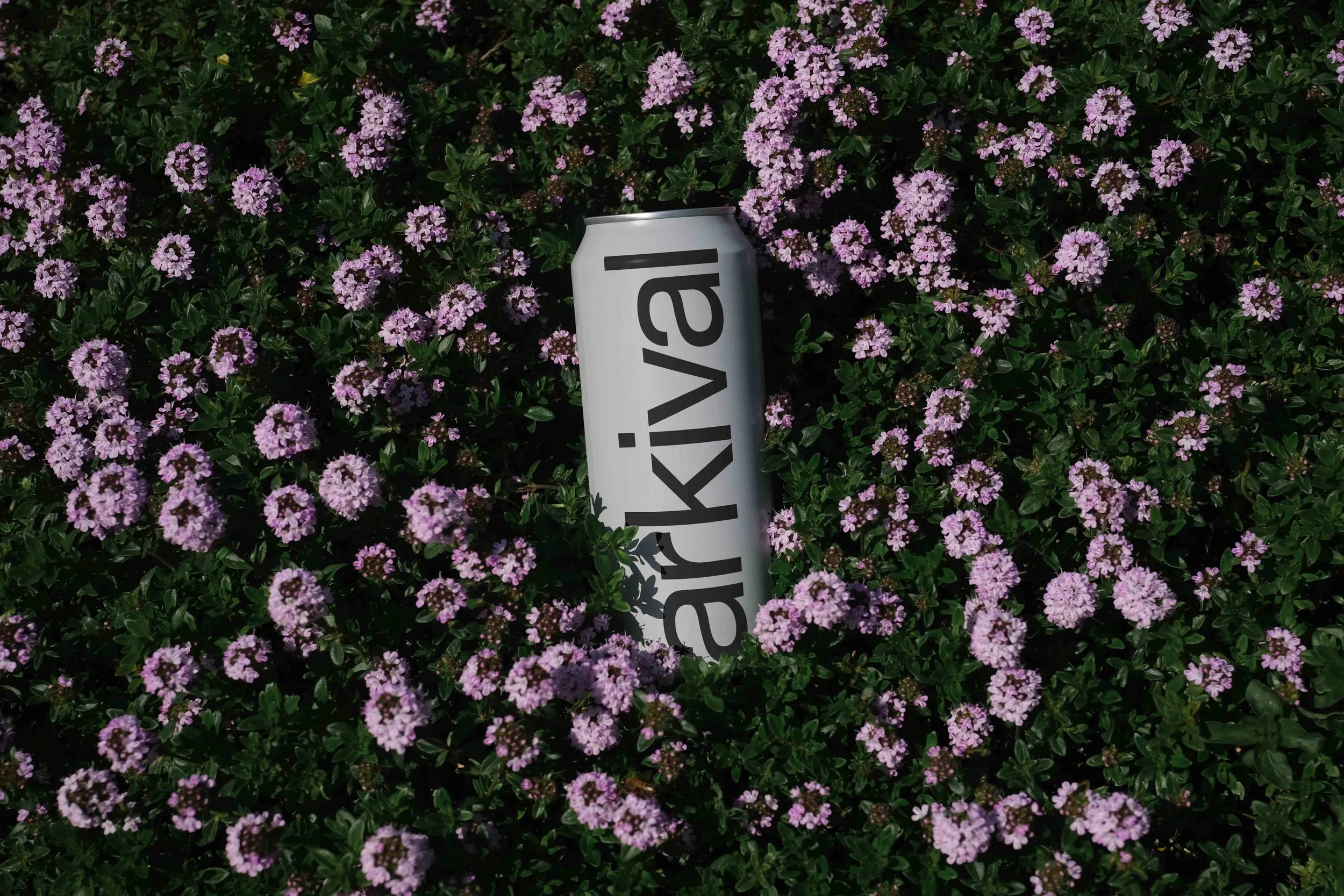 ARKIVAL_B2_CANS_01.jpg