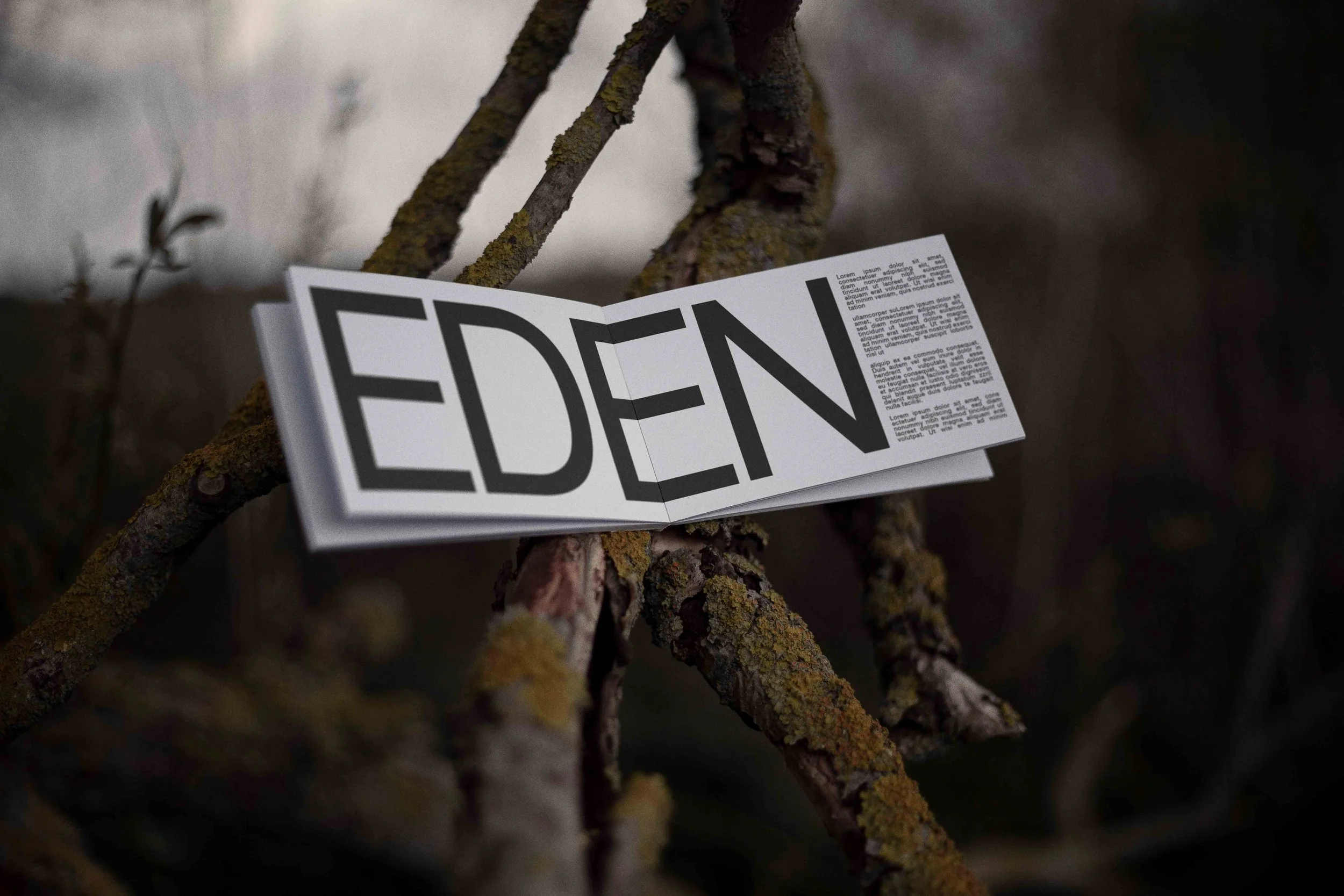 ARKIVAL_EDEN_BOOK_01.jpg