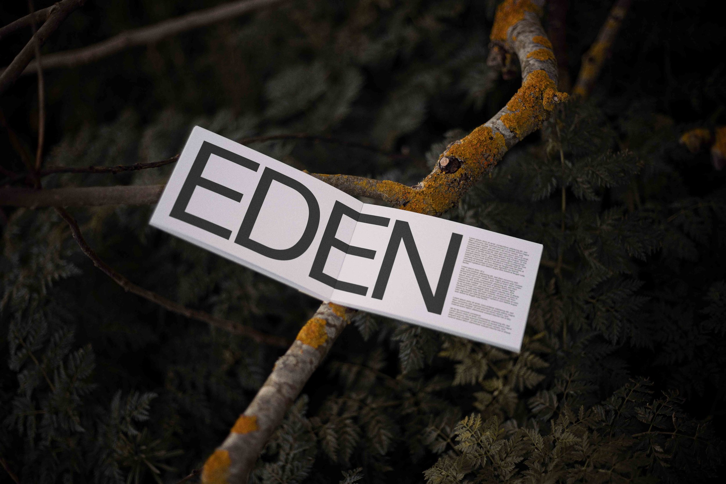 ARKIVAL_EDEN_BOOK_02.jpg