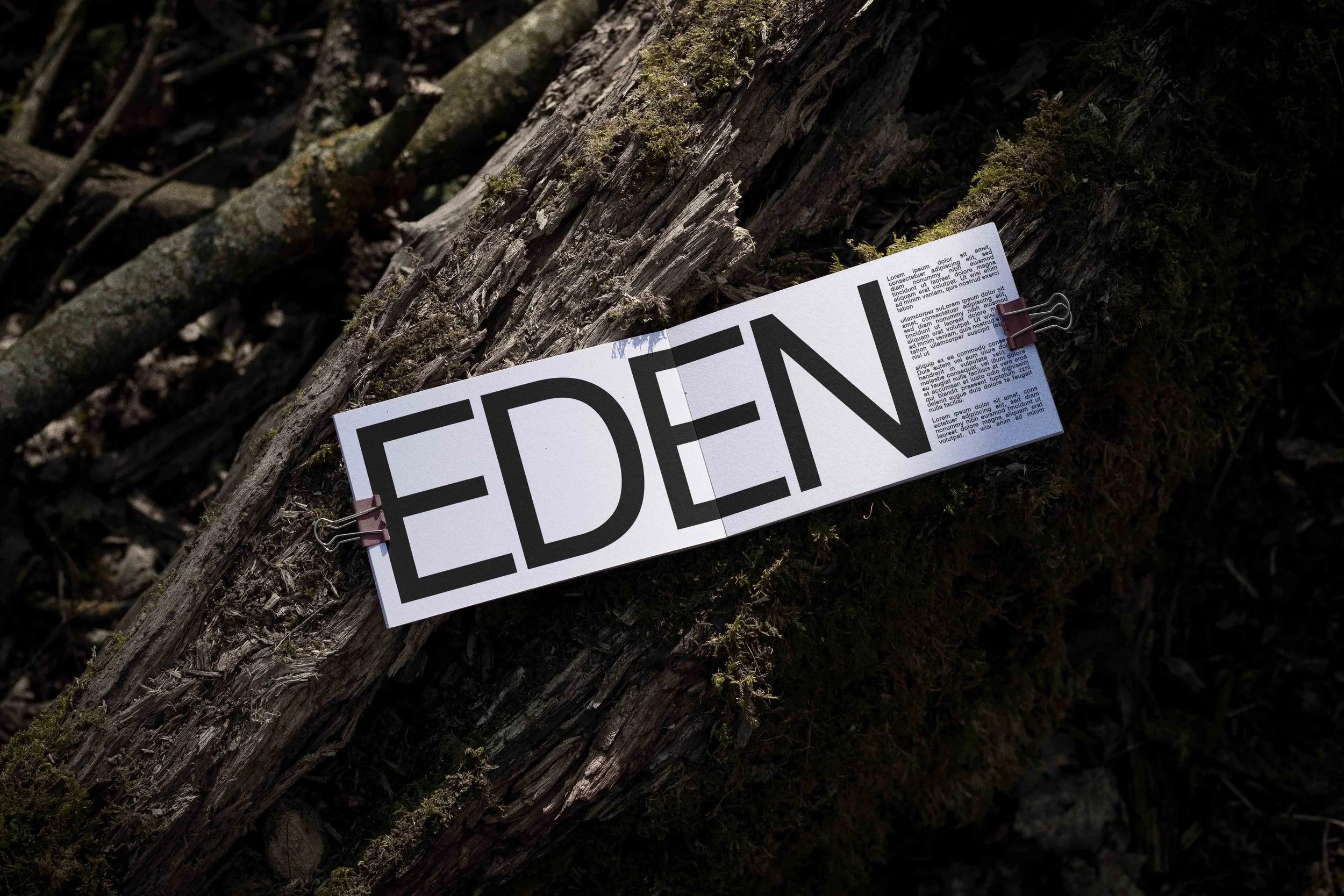FORMAT_EDEN_BOOK_03.jpg