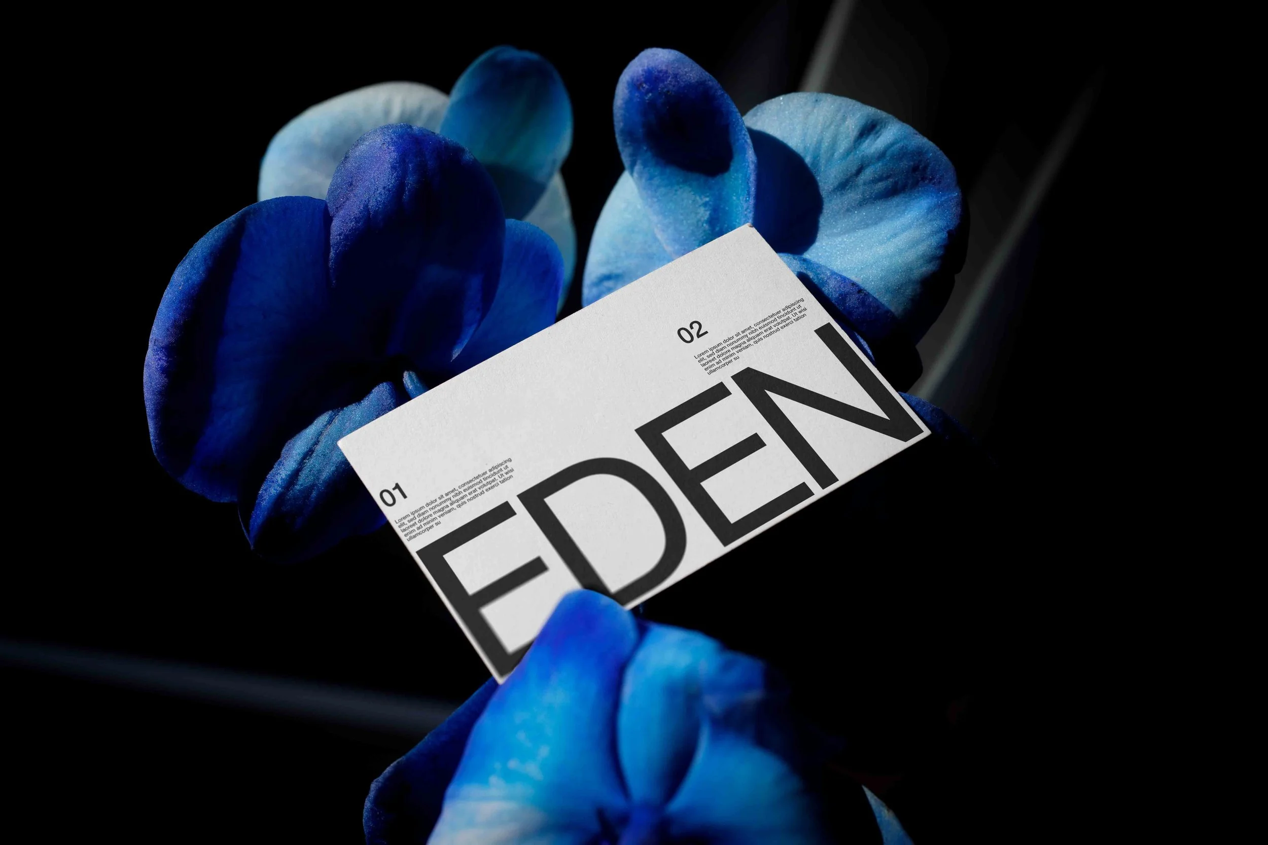 ARKIVAL_EDEN_BUSINESSCARD_01.jpg