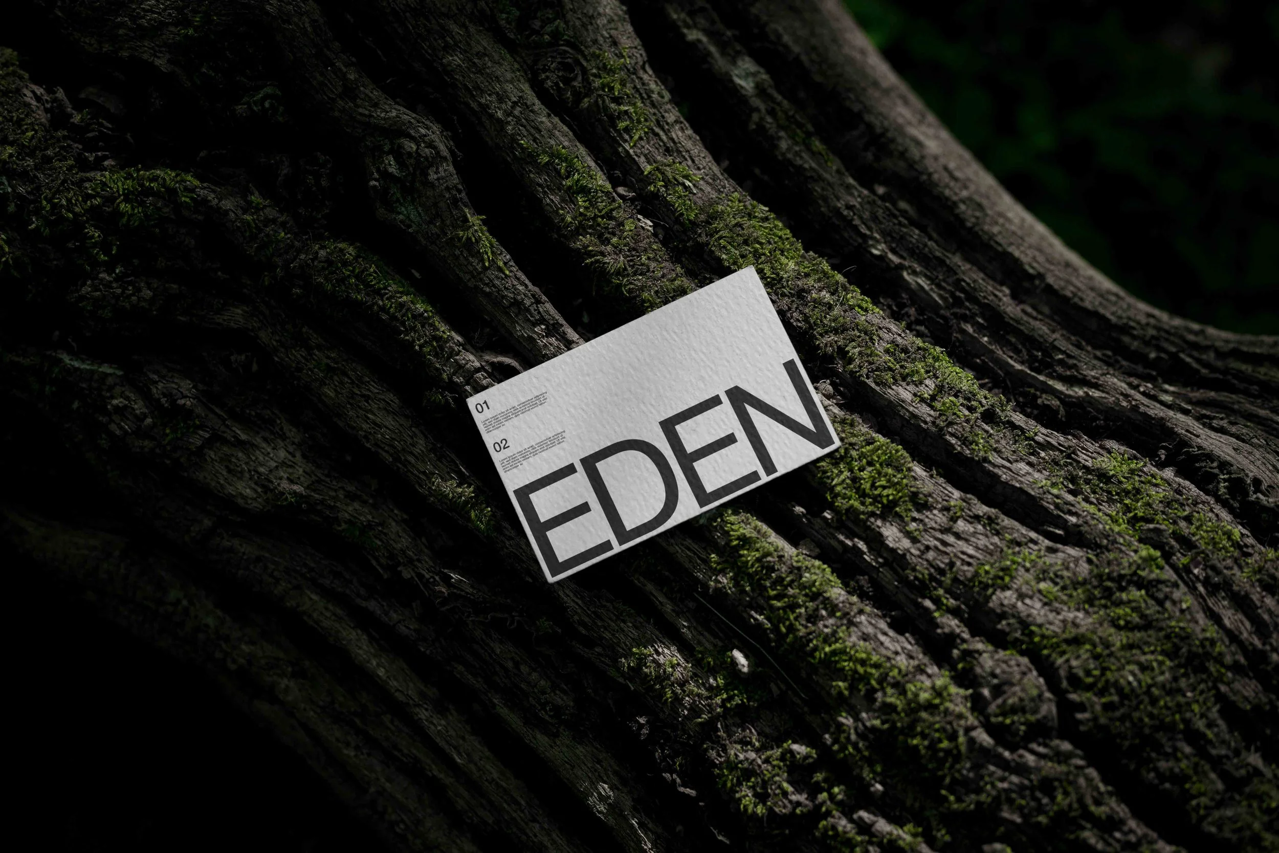 ARKIVAL_EDEN_BUSINESSCARD_02.jpg