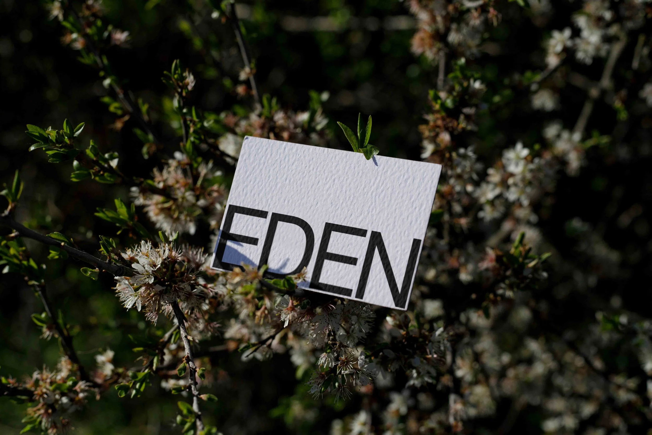 ARKIVAL_EDEN_BUSINESSCARD_03.jpg