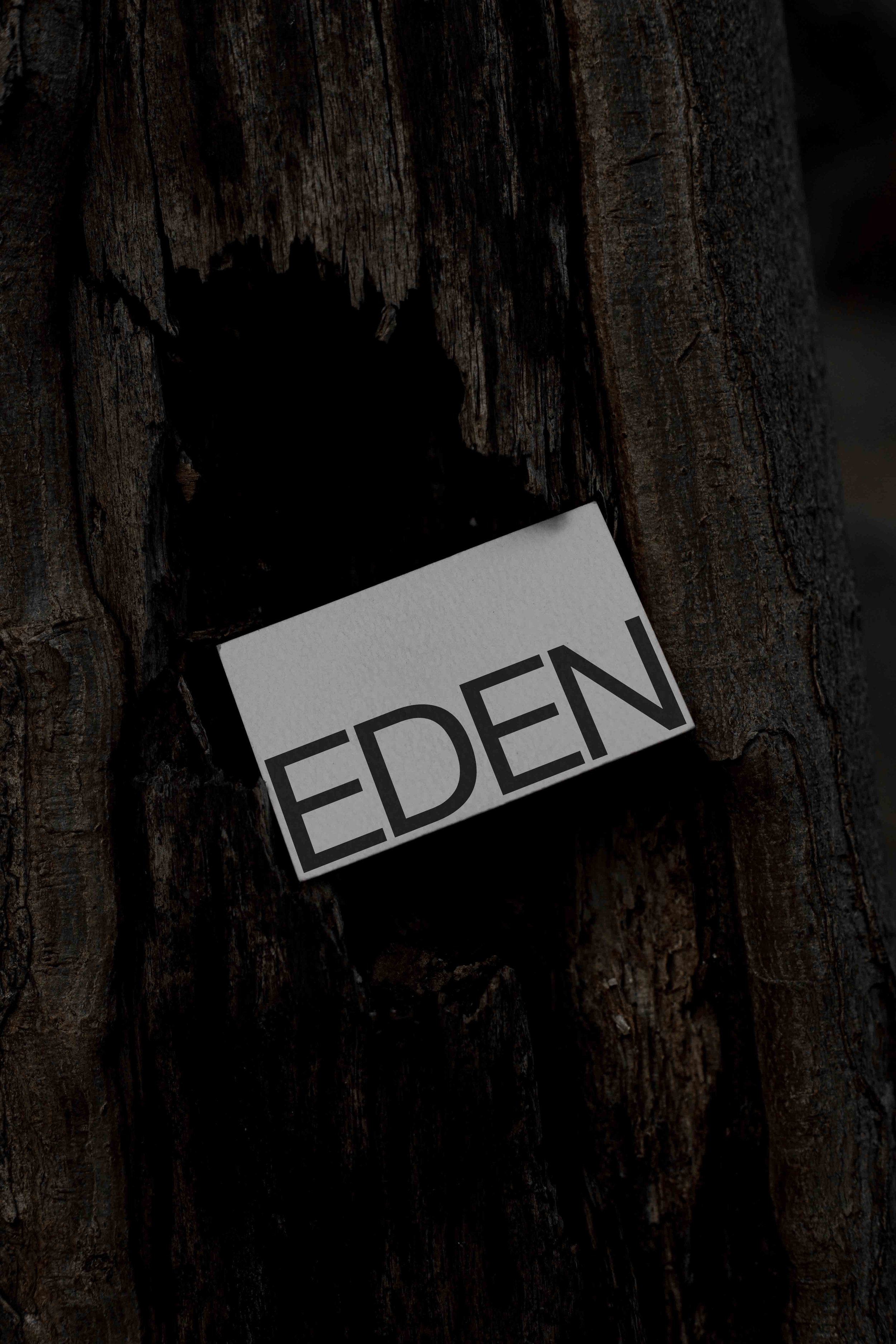 ARKIVAL_EDEN_BUSINESSCARD_04.jpg
