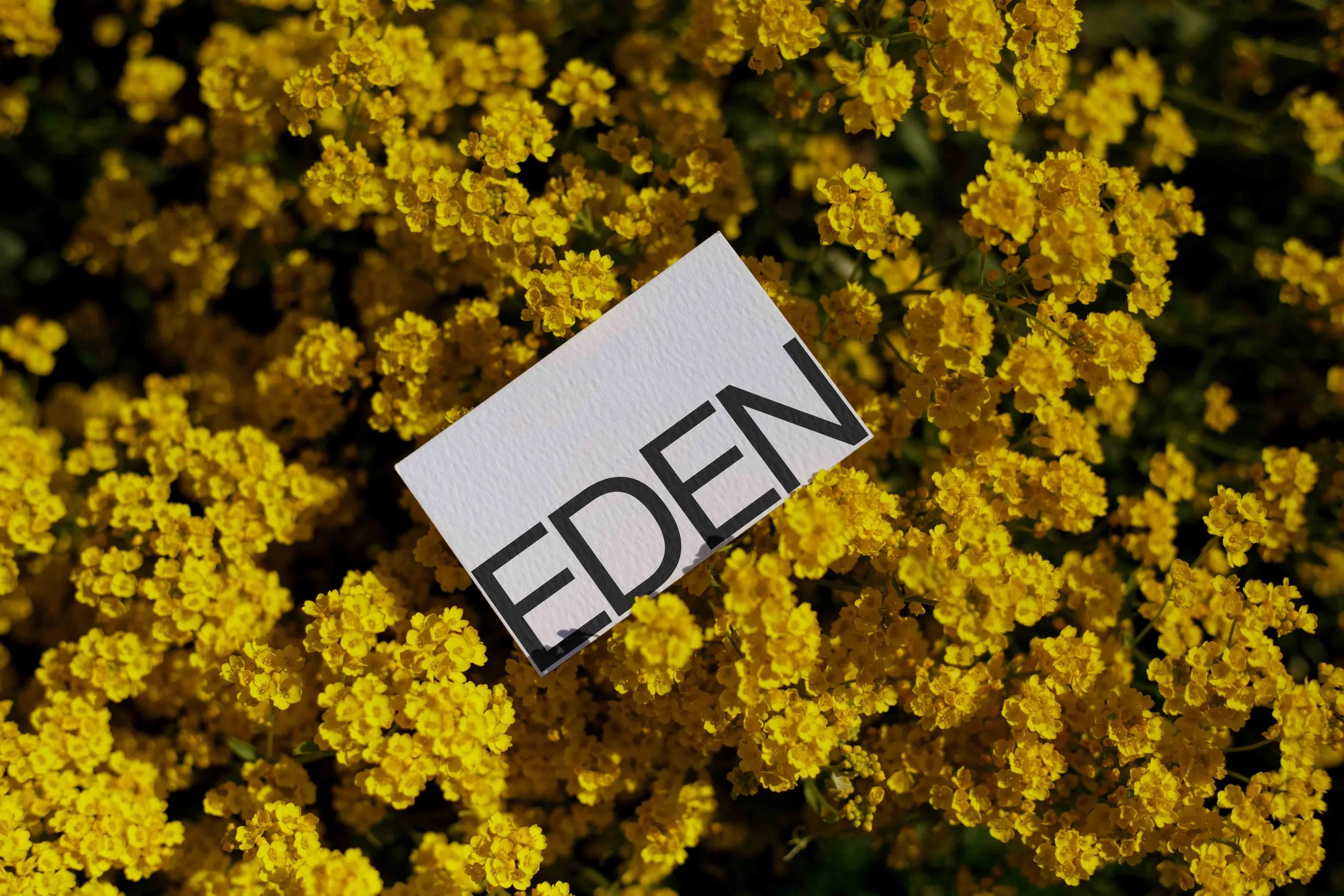 ARKIVAL_EDEN_BUSINESSCARD_05.jpg