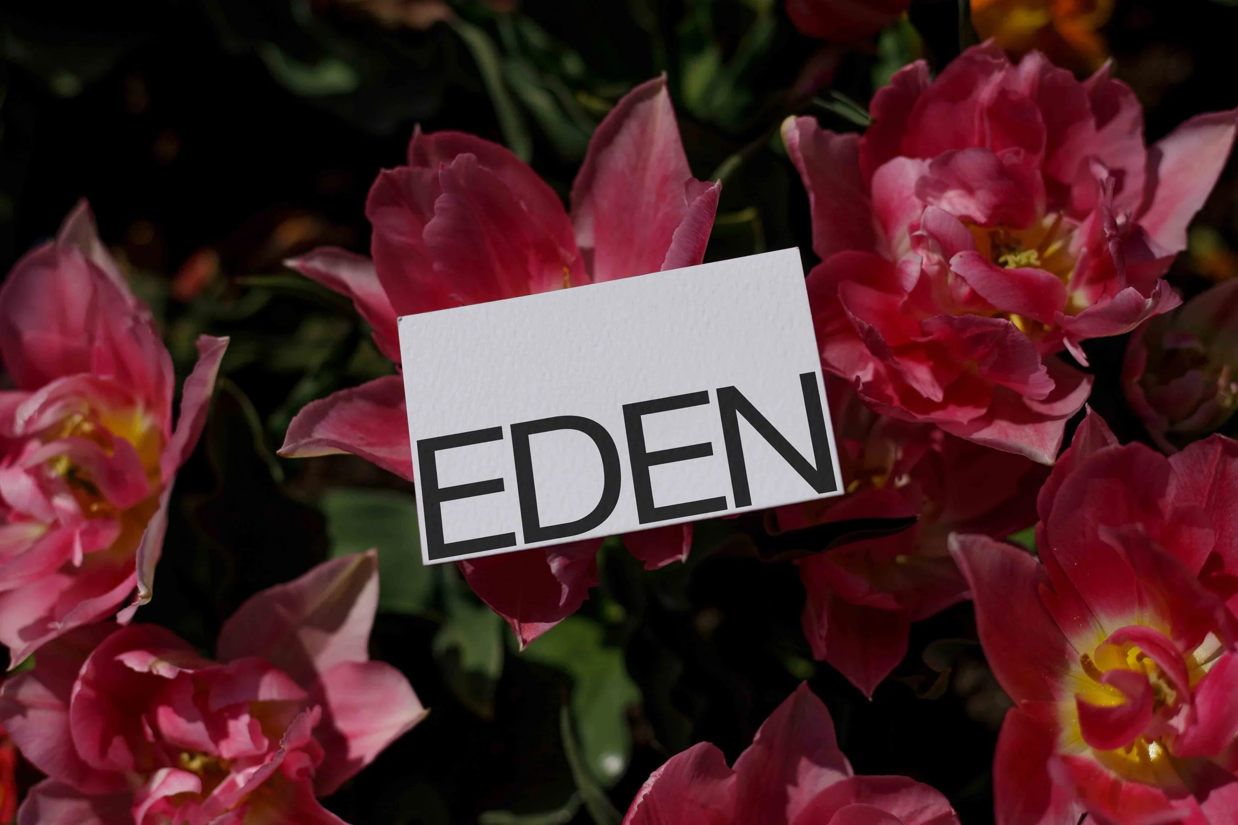ARKIVAL_EDEN_BUSINESSCARD_06.jpg