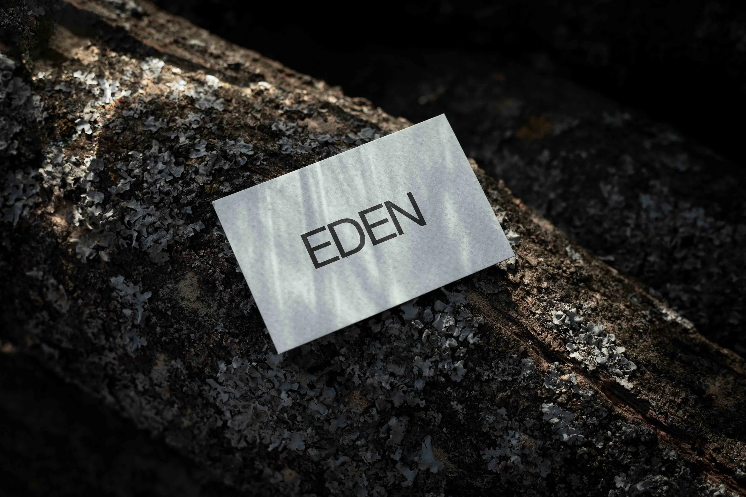 ARKIVAL_EDEN_BUSINESSCARD_07.jpg