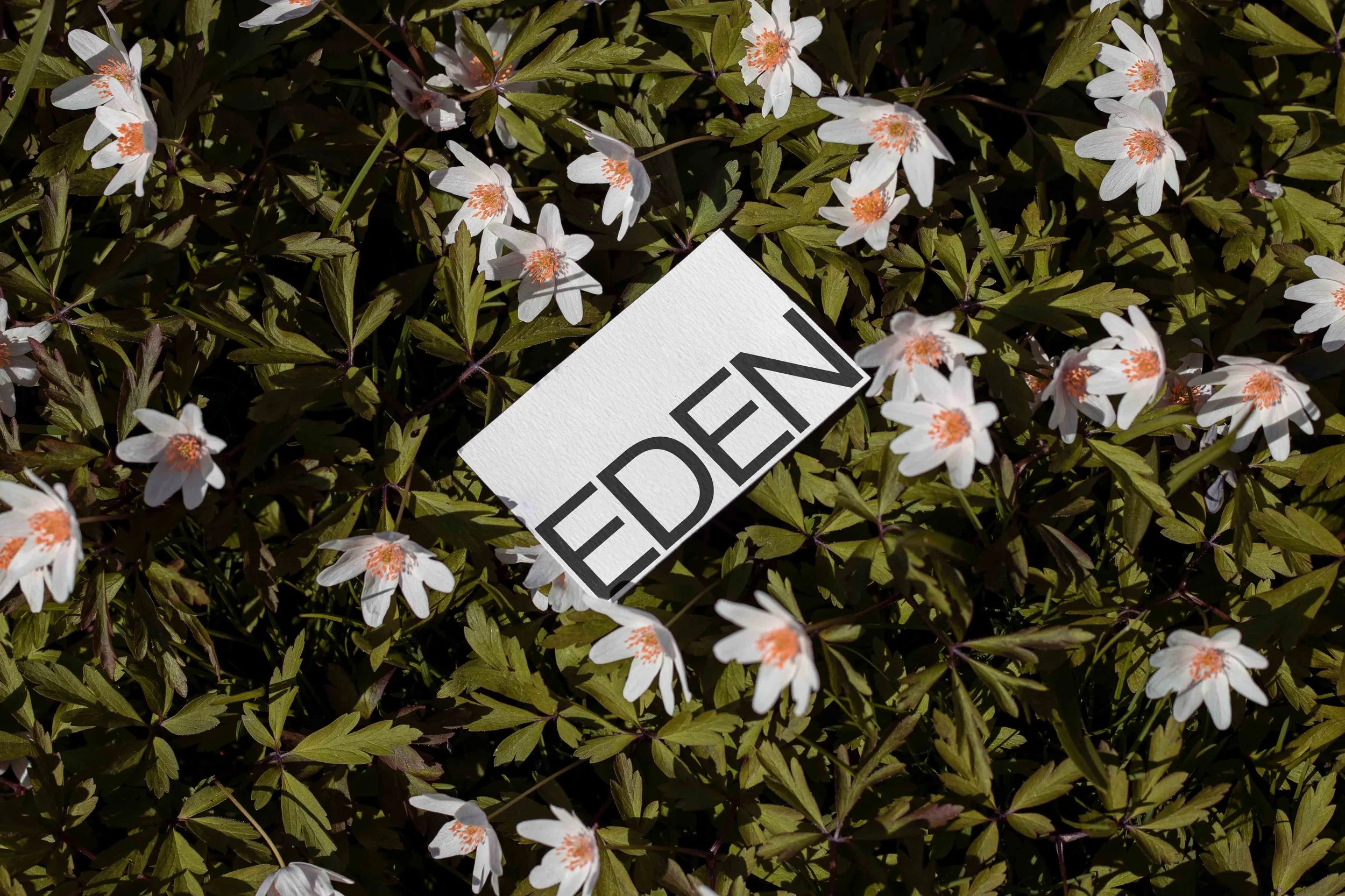 ARKIVAL_EDEN_BUSINESSCARD_08.jpg