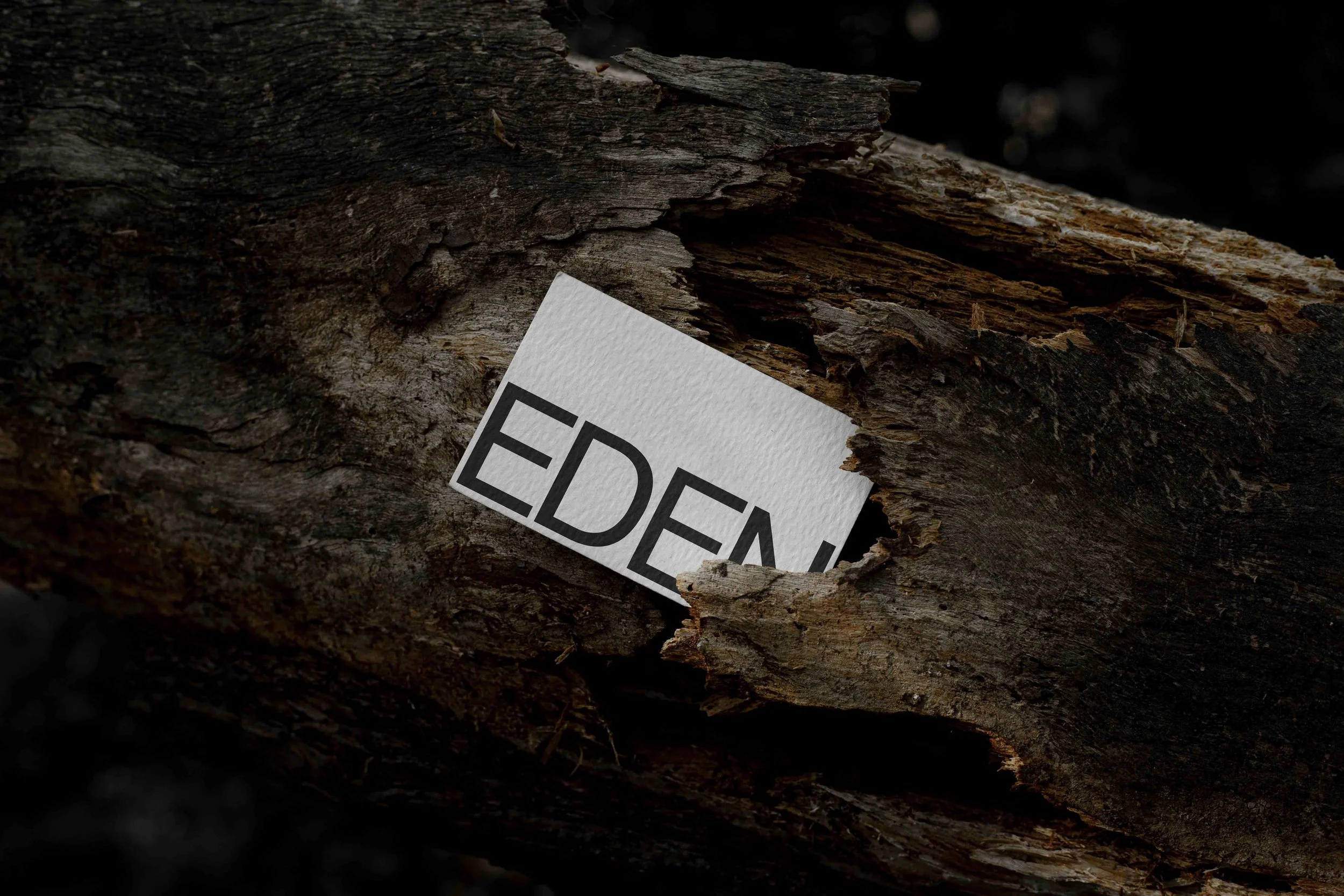 ARKIVAL_EDEN_BUSINESSCARD_09.jpg