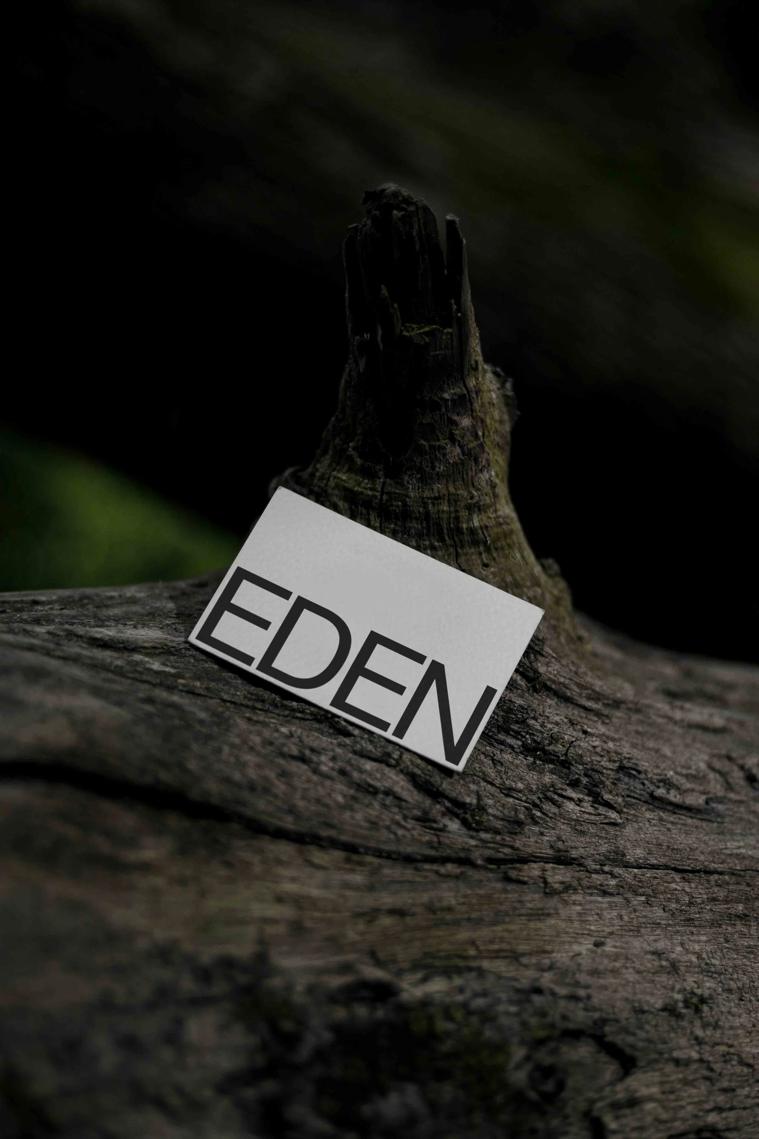 ARKIVAL_EDEN_BUSINESSCARD_10.jpg