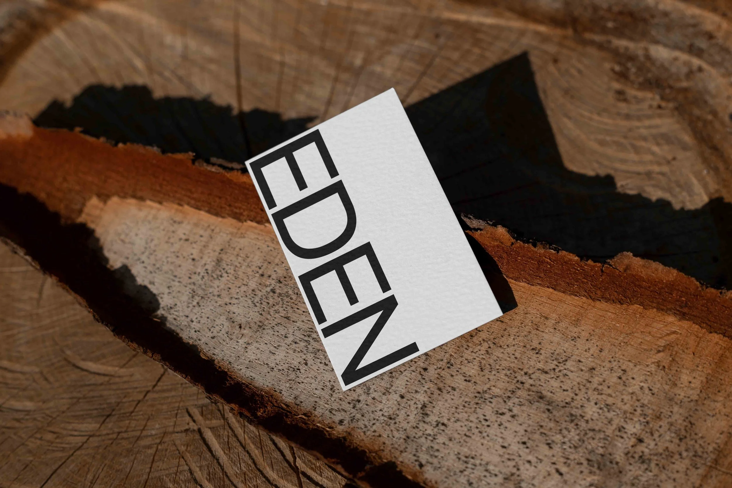 ARKIVAL_EDEN_BUSINESSCARD_11.jpg