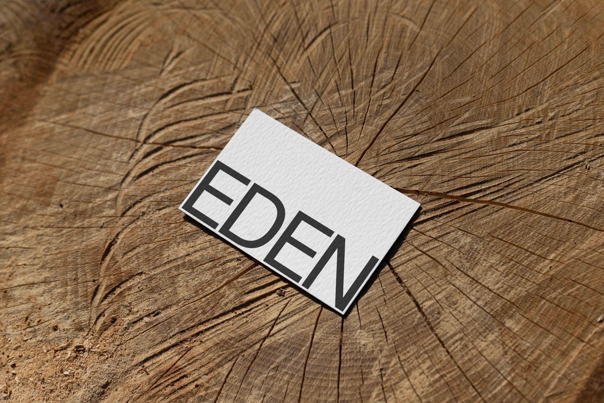 ARKIVAL_EDEN_BUSINESSCARD_12.jpg