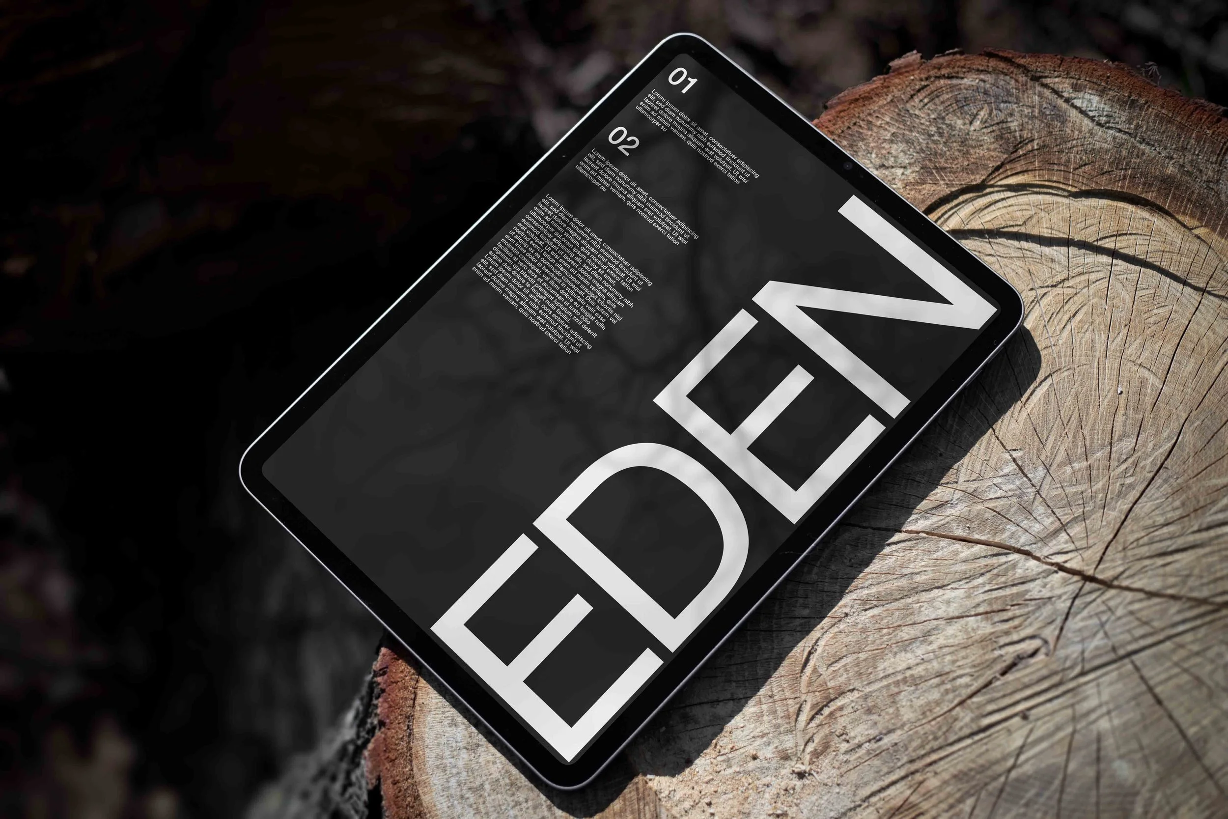 ARKIVAL_EDEN_IPAD_01.jpg