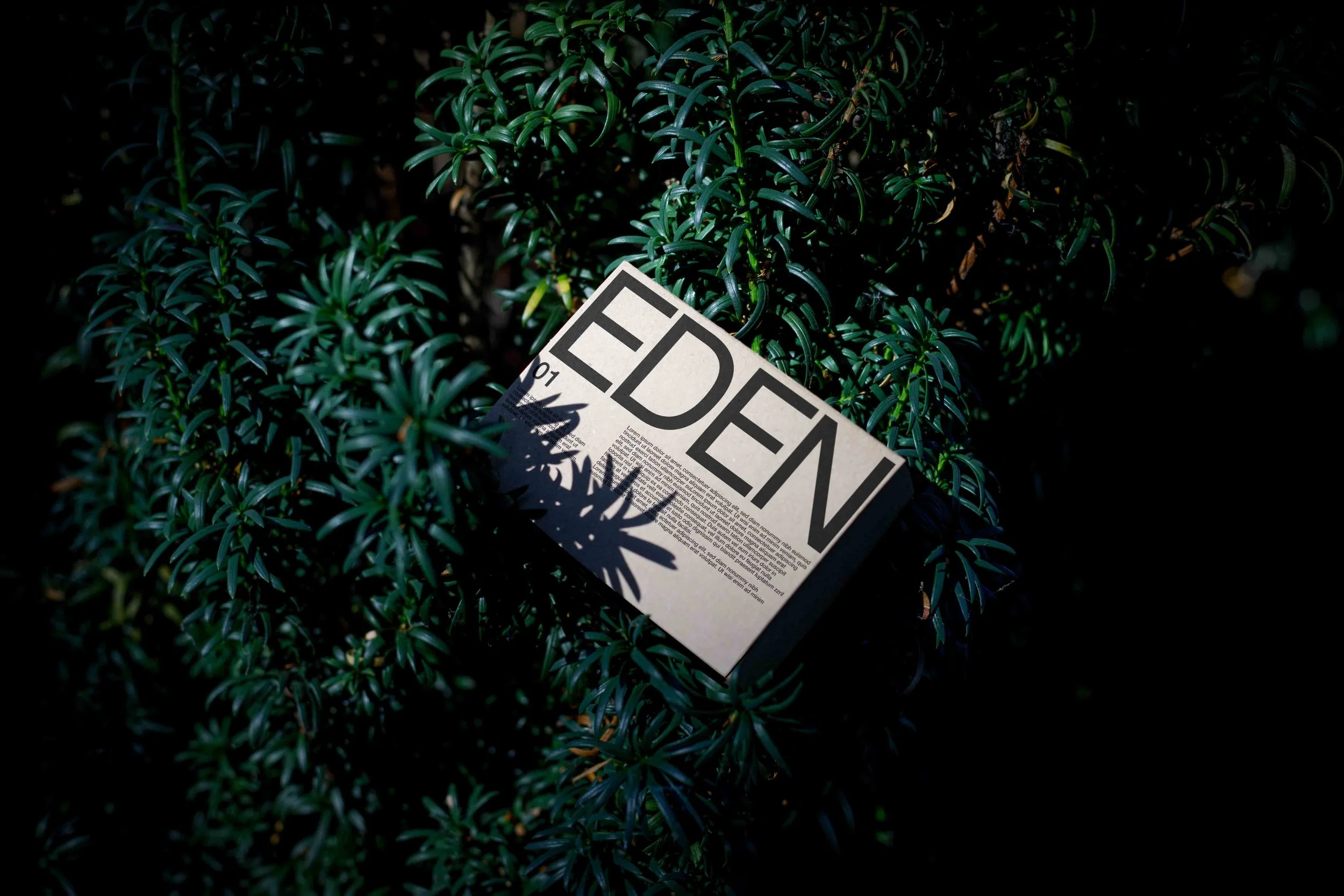 ARKIVAL_EDEN_ECO_BOX_01.jpg