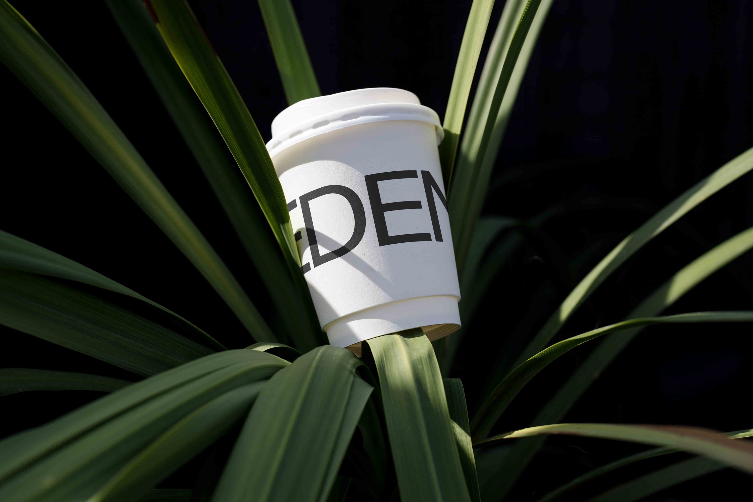 ARKIVAL_EDEN_ECO_CUP_01.jpg