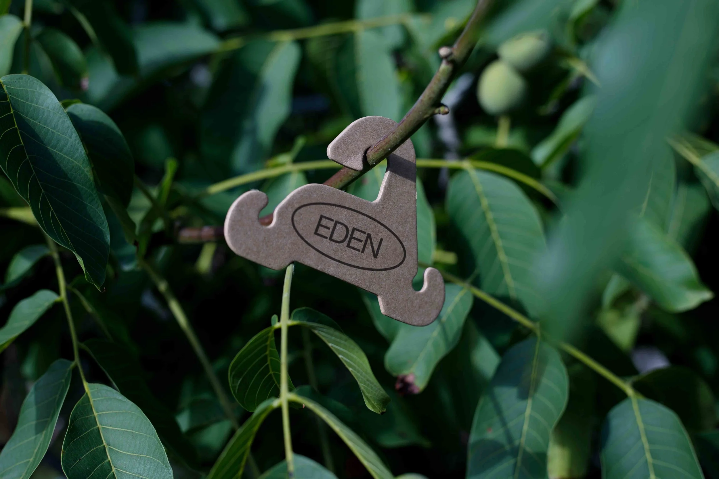 ARKIVAL_EDEN_ECO_HANGER_01.jpg
