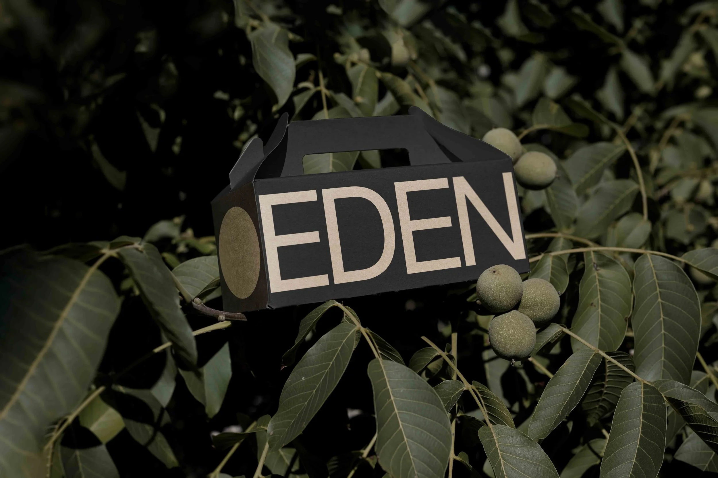 ARKIVAL_EDEN_SMALL_ECOBOX_01.jpg