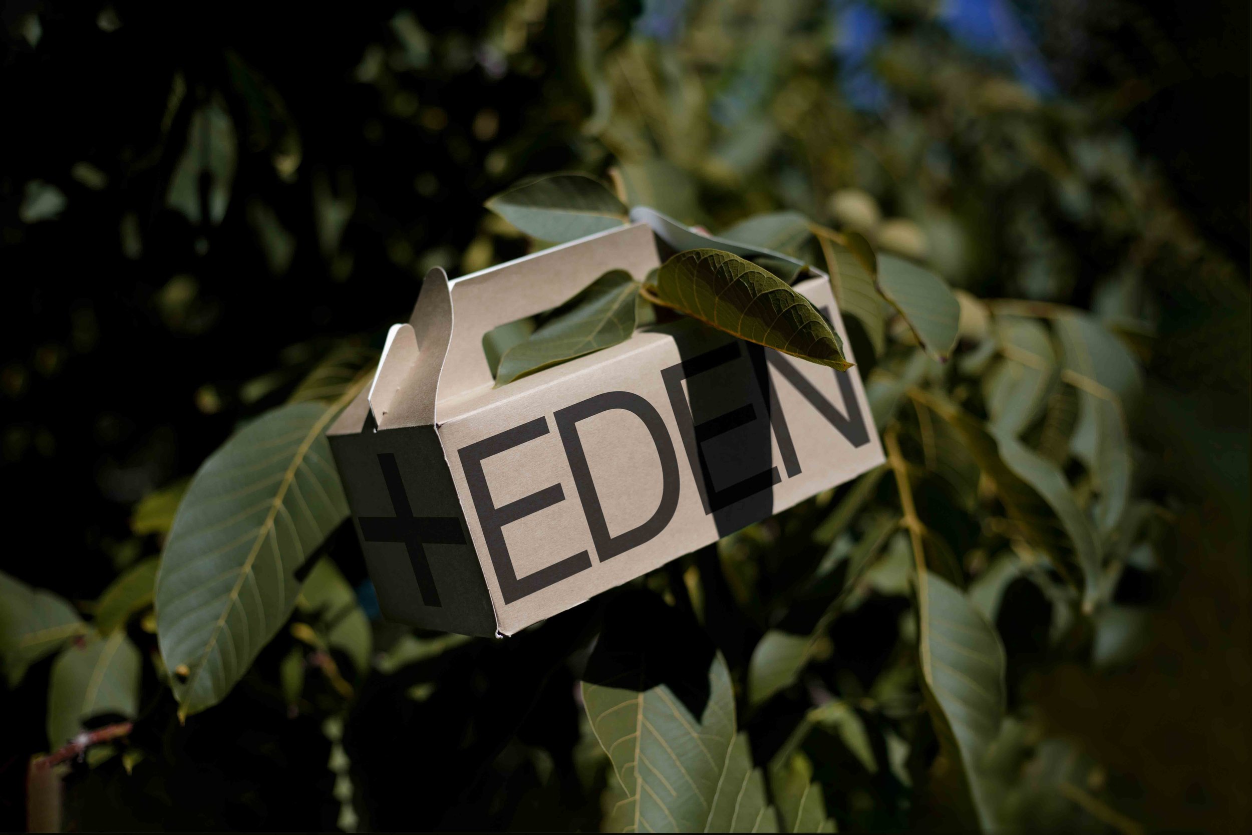 ARKIVAL_EDEN_SMALL_ECOBOX_02.jpg