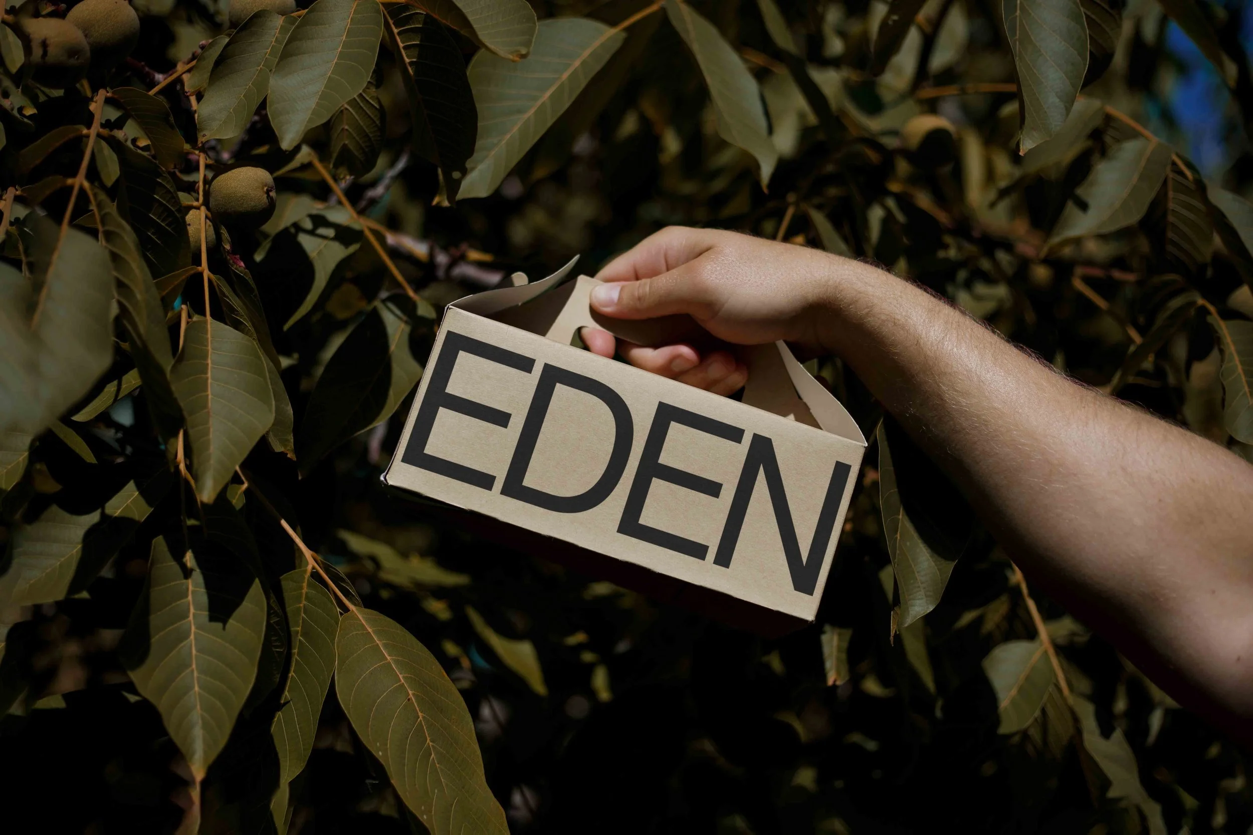 ARKIVAL_EDEN_SMALL_ECOBOX_03.jpg