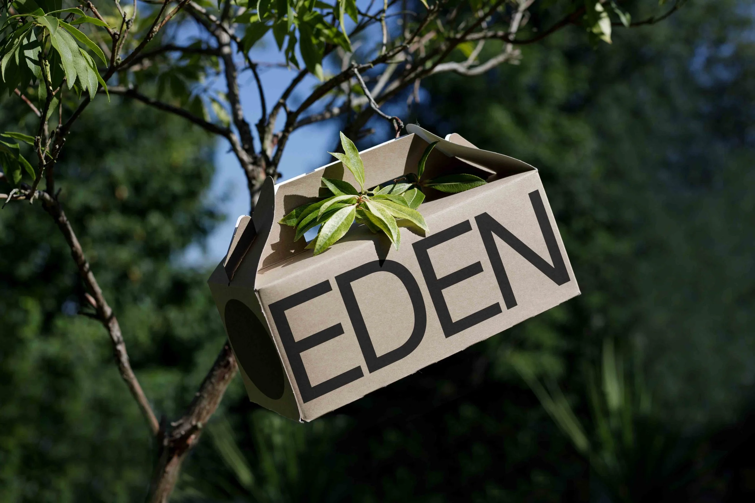 ARKIVAL_EDEN_SMALL_ECOBOX_04.jpg