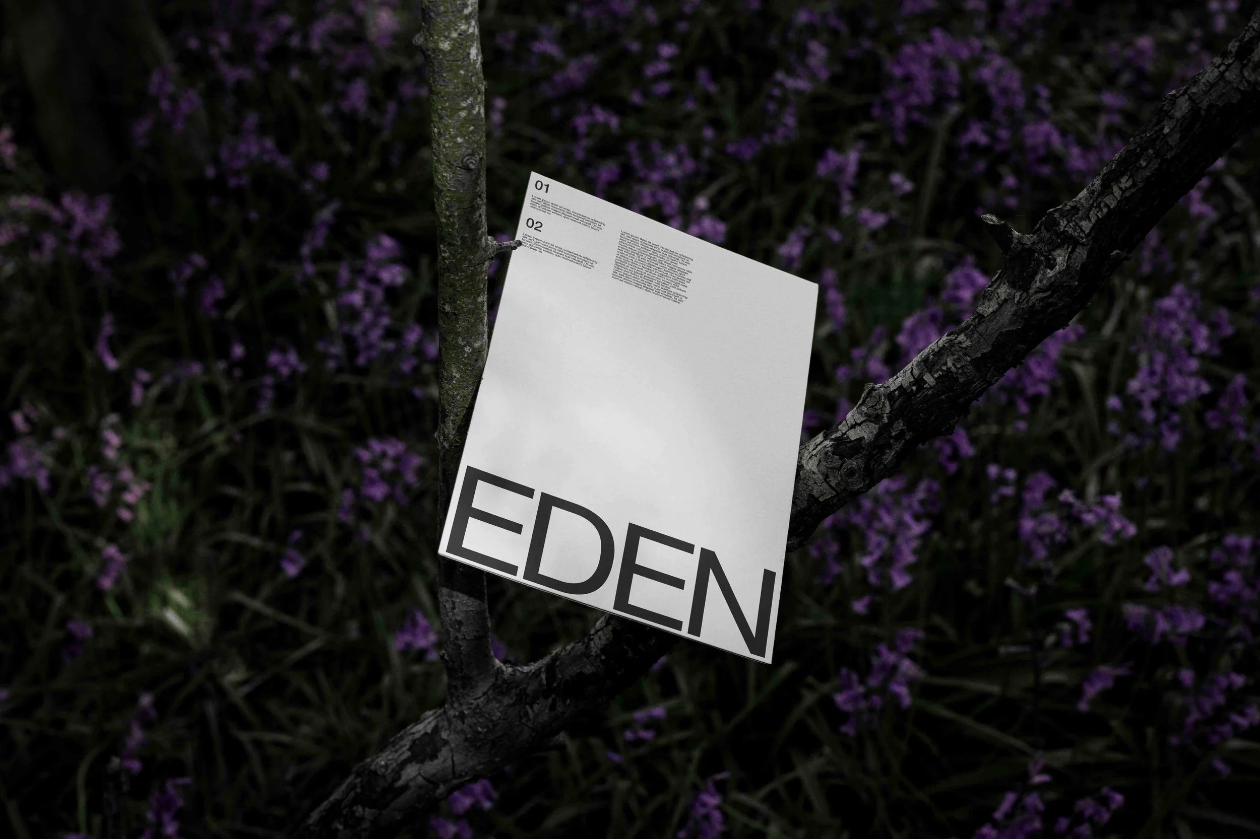 ARKIVAL_EDEN_POSTER_01.jpg