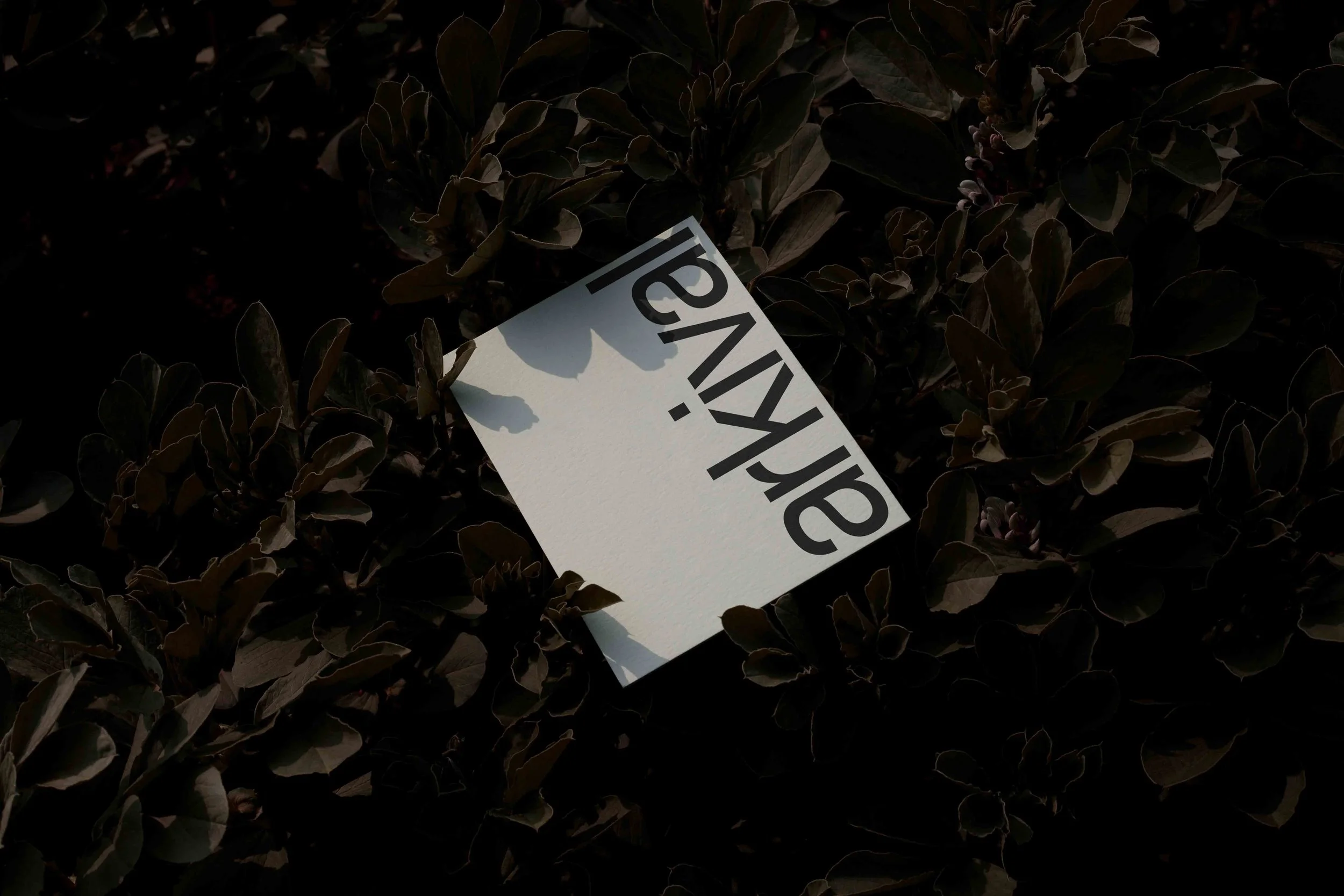 ARKIVAL_EDEN_POSTER_02_1.jpg