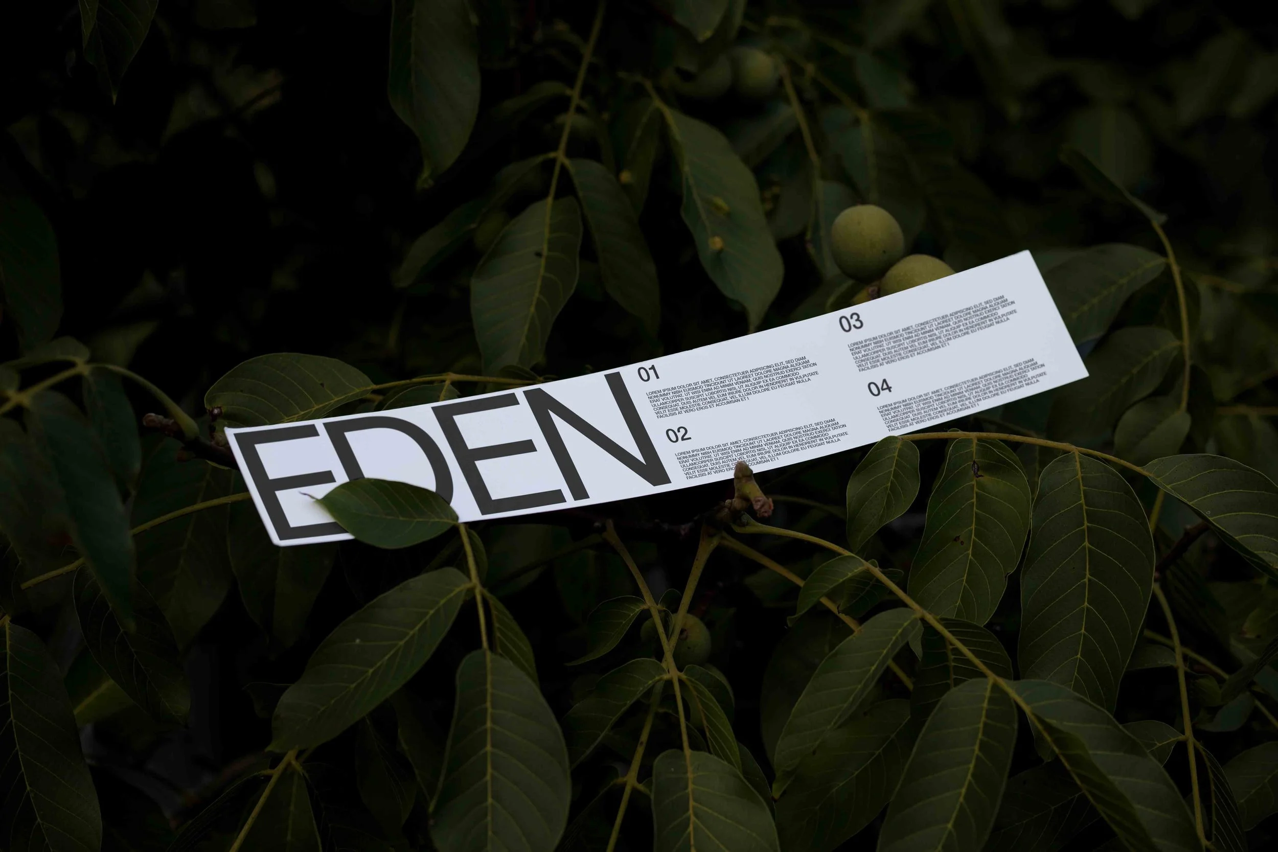 ARKIVAL_EDEN_PAPERSTRIP_01.jpg