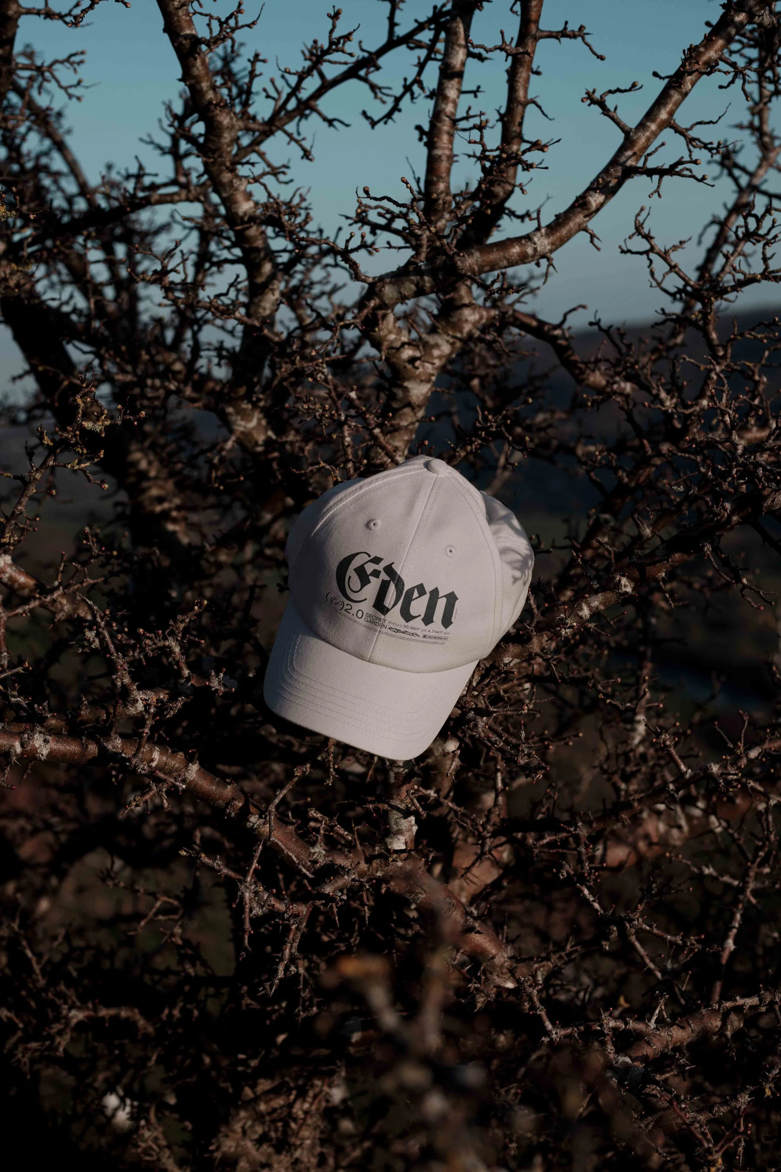 ARKIVAL_EDEN_02_CAP_01.jpg