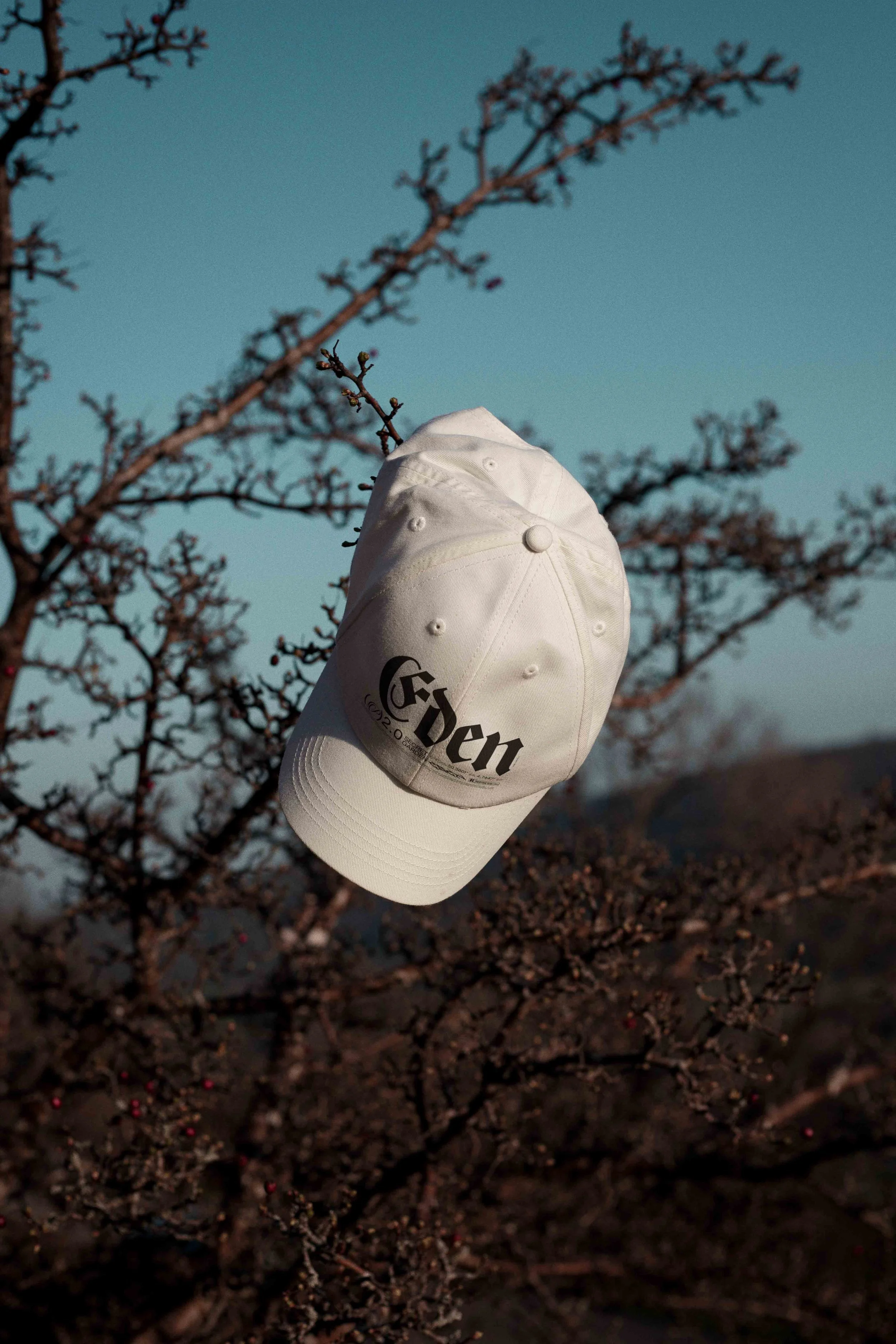 ARKIVAL_EDEN_02_CAP_02.jpg