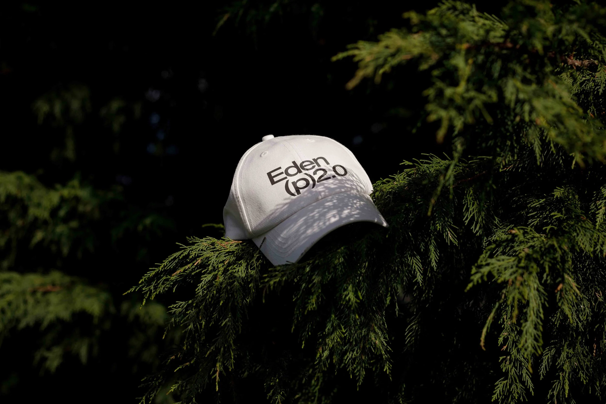 ARKIVAL_EDEN_02_CAP_06.jpg