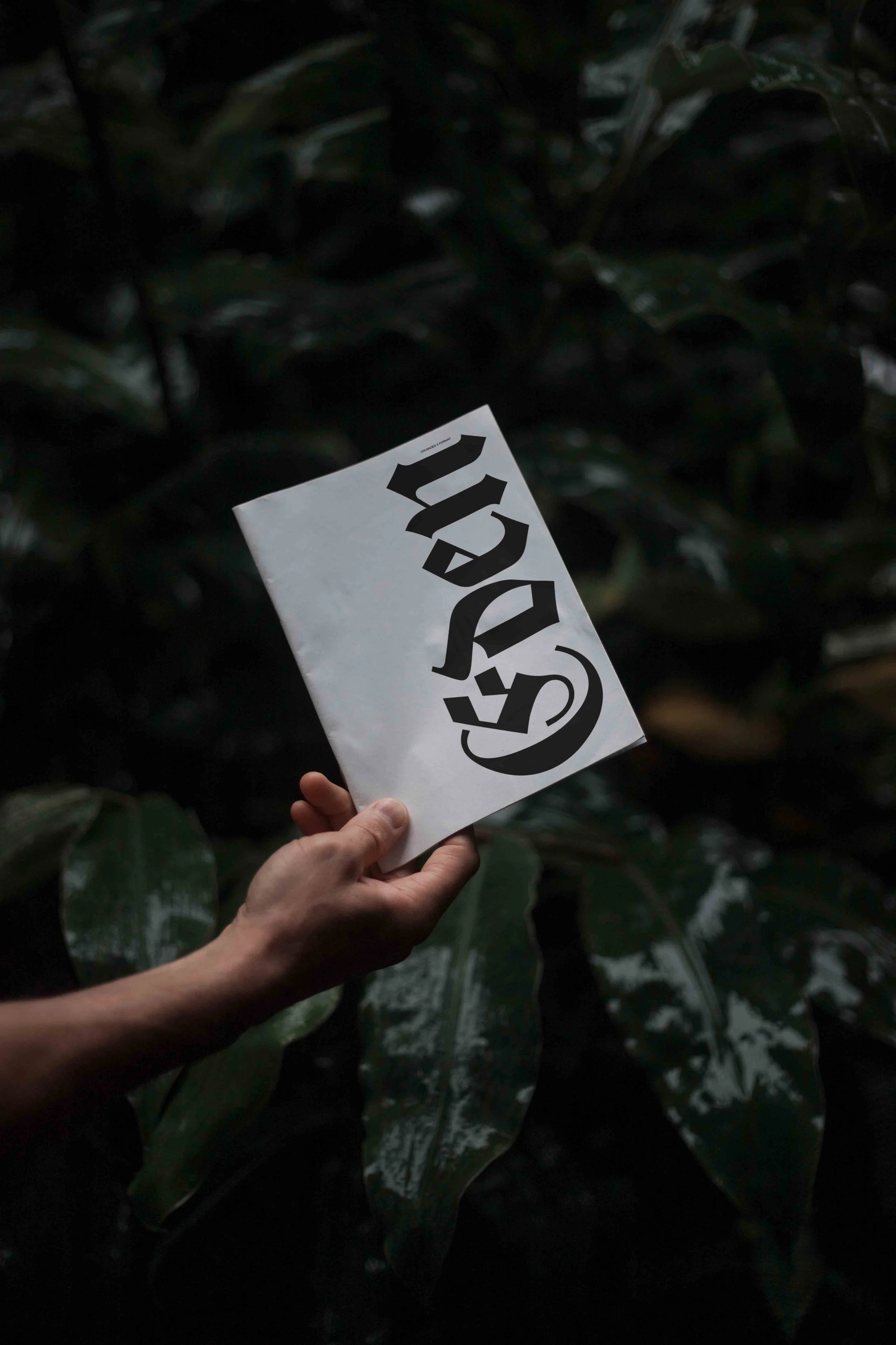 ARKIVAL_EDEN_02_BOOK_02.jpg