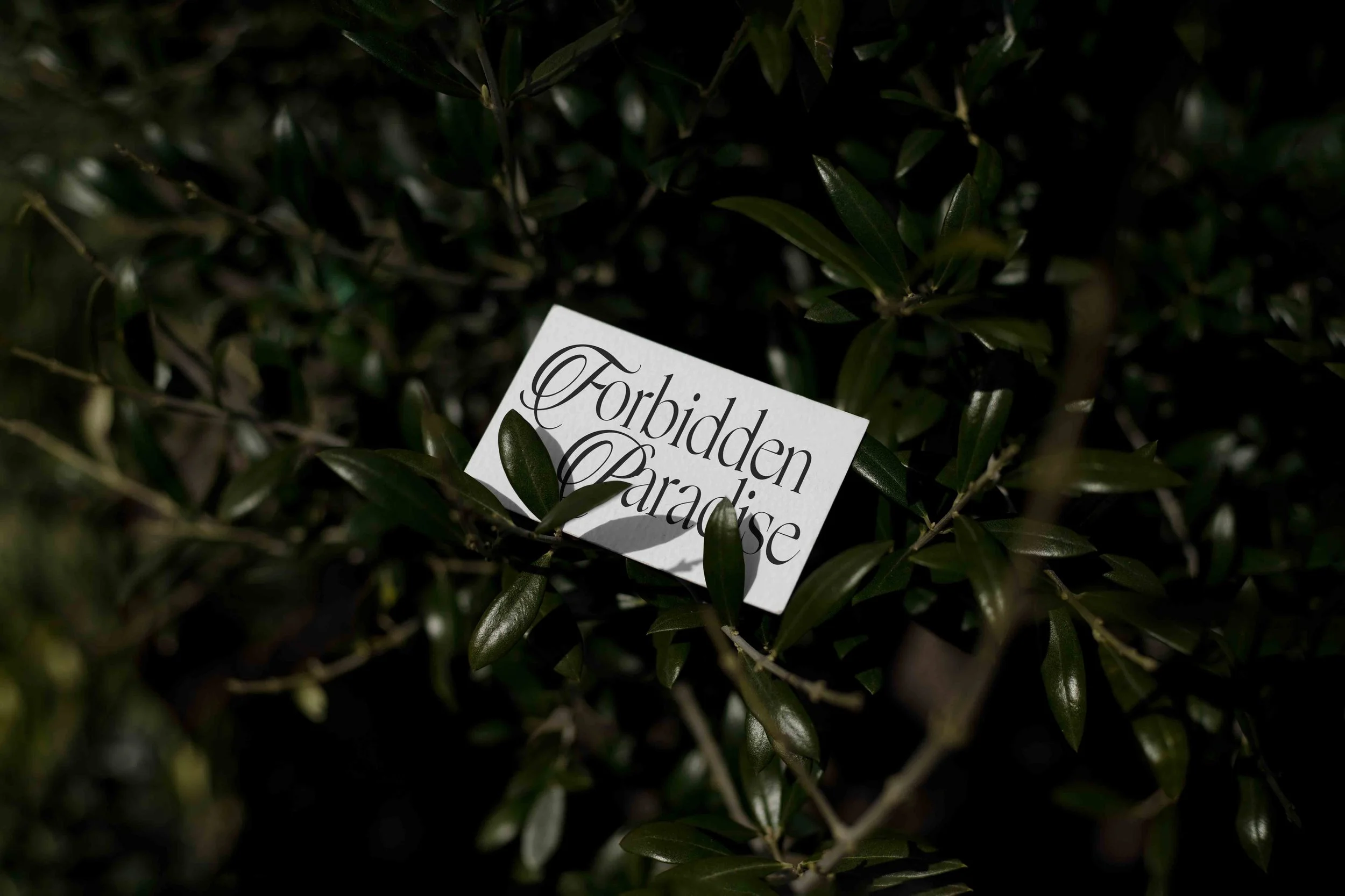 ARKIVAL_EDEN_02_BUSINESSCARD_01.jpg