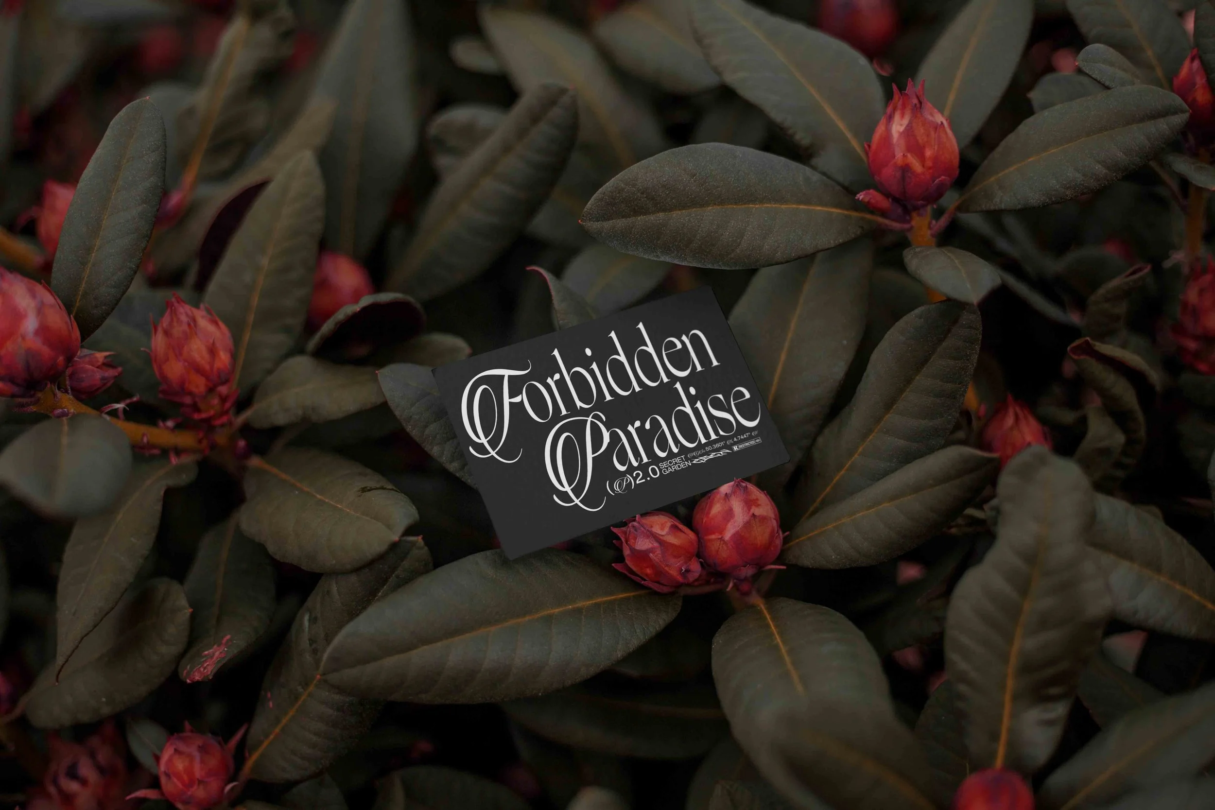 ARKIVAL_EDEN_02_BUSINESSCARD_02.jpg