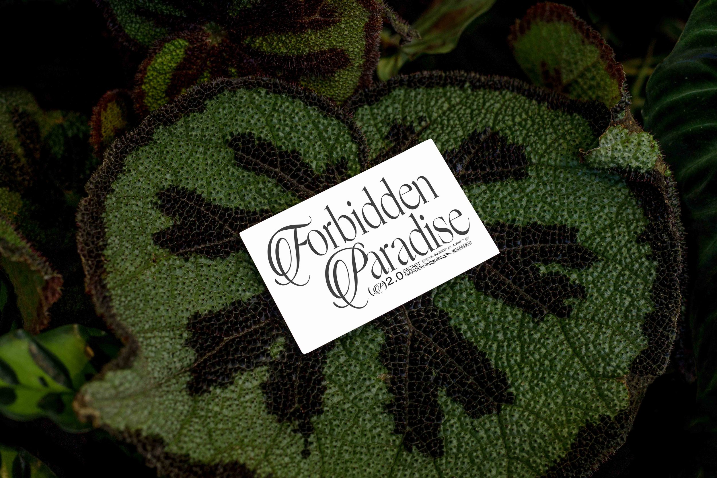 FORMAT_EDEN_02_BUSINESSCARD_03.jpg