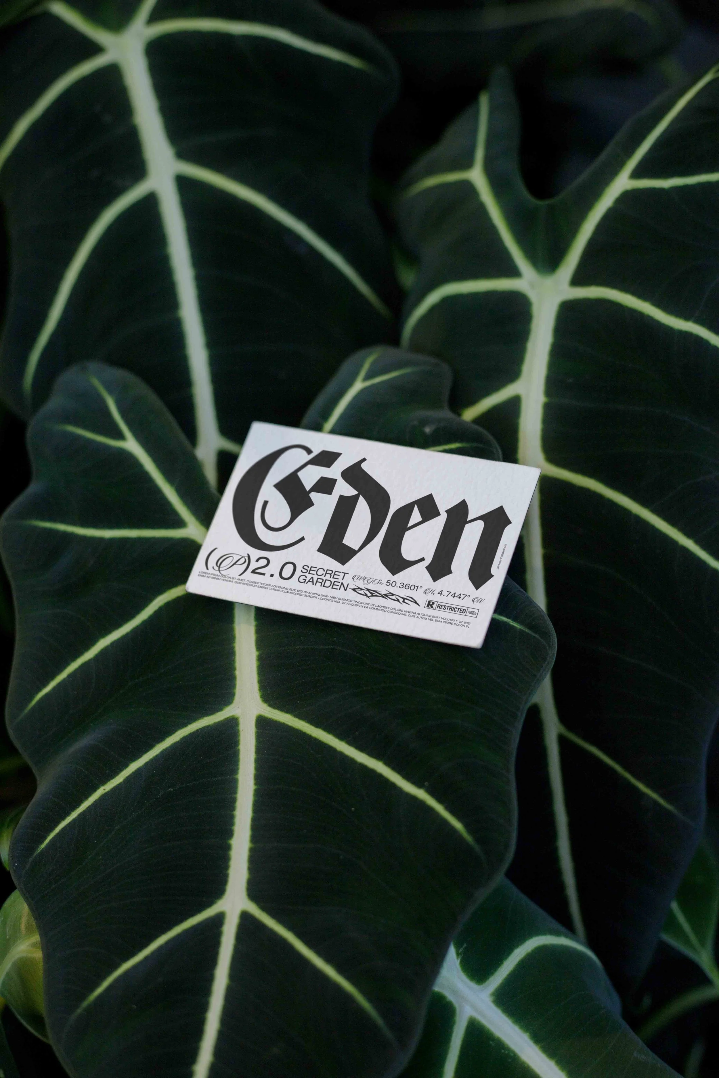 ARKIVAL_EDEN_02_BUSINESSCARD_04.jpg
