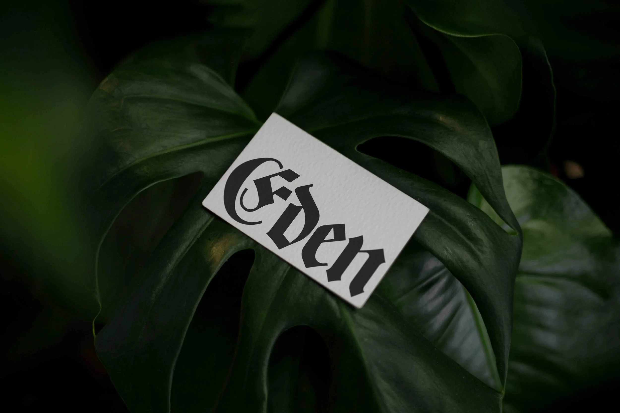 ARKIVAL_EDEN_02_BUSINESSCARD_05.jpg