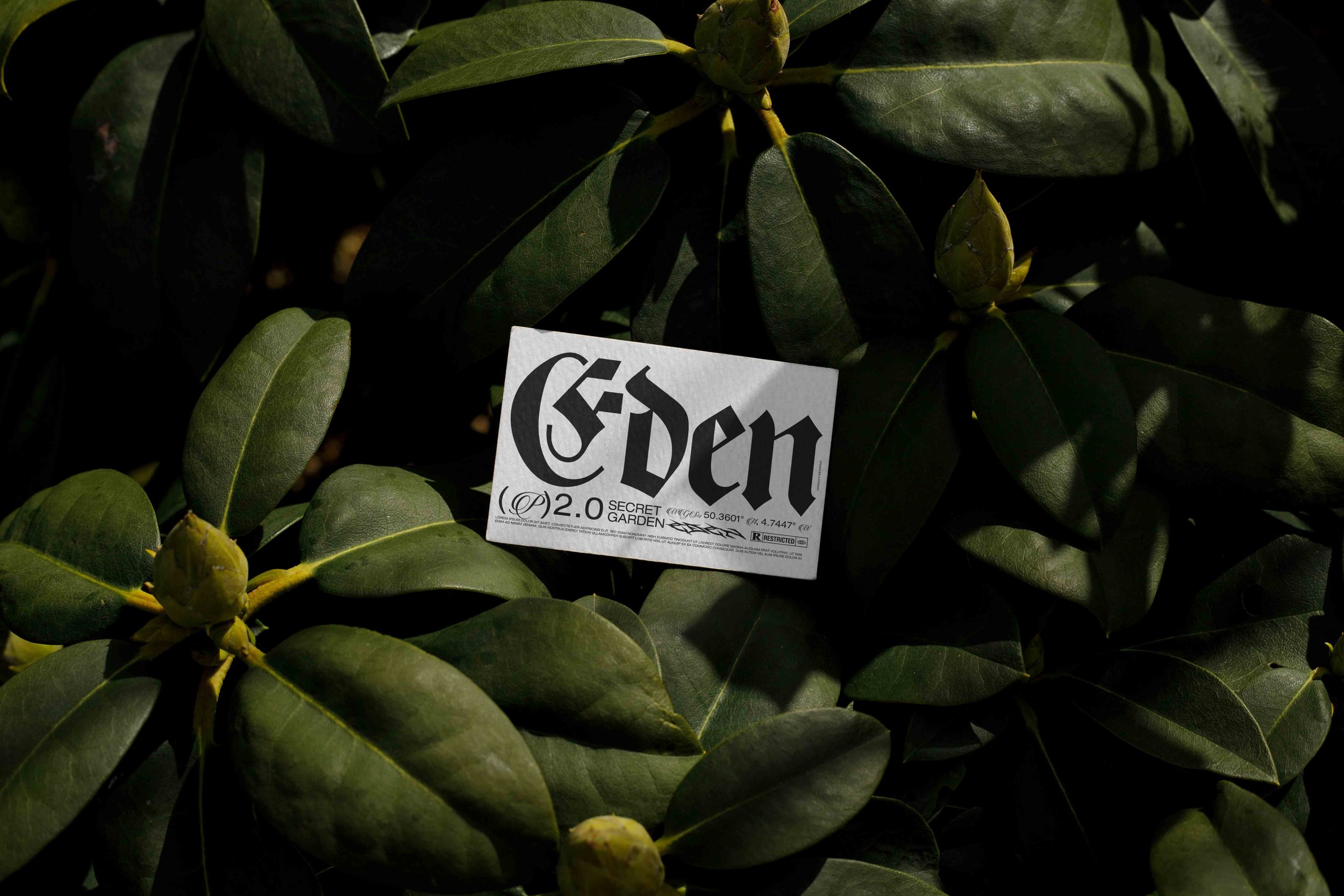 ARKIVAL_EDEN_02_BUSINESSCARD_07.jpg