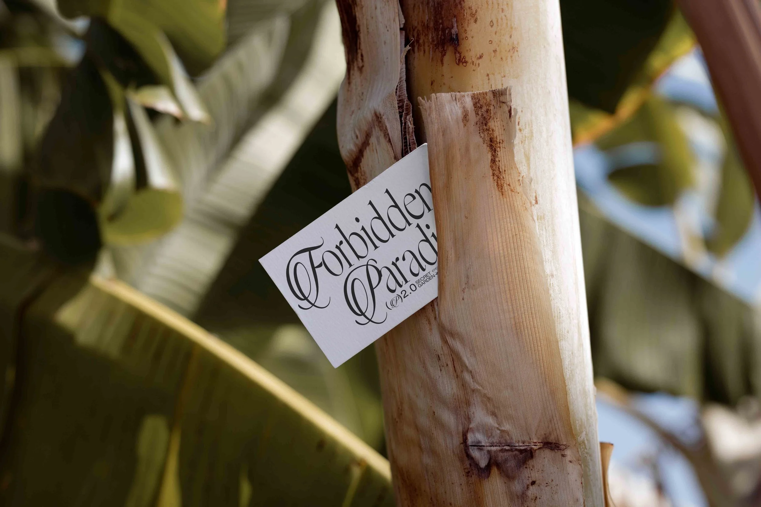 ARKIVAL_EDEN_02_BUSINESSCARD_08.jpg